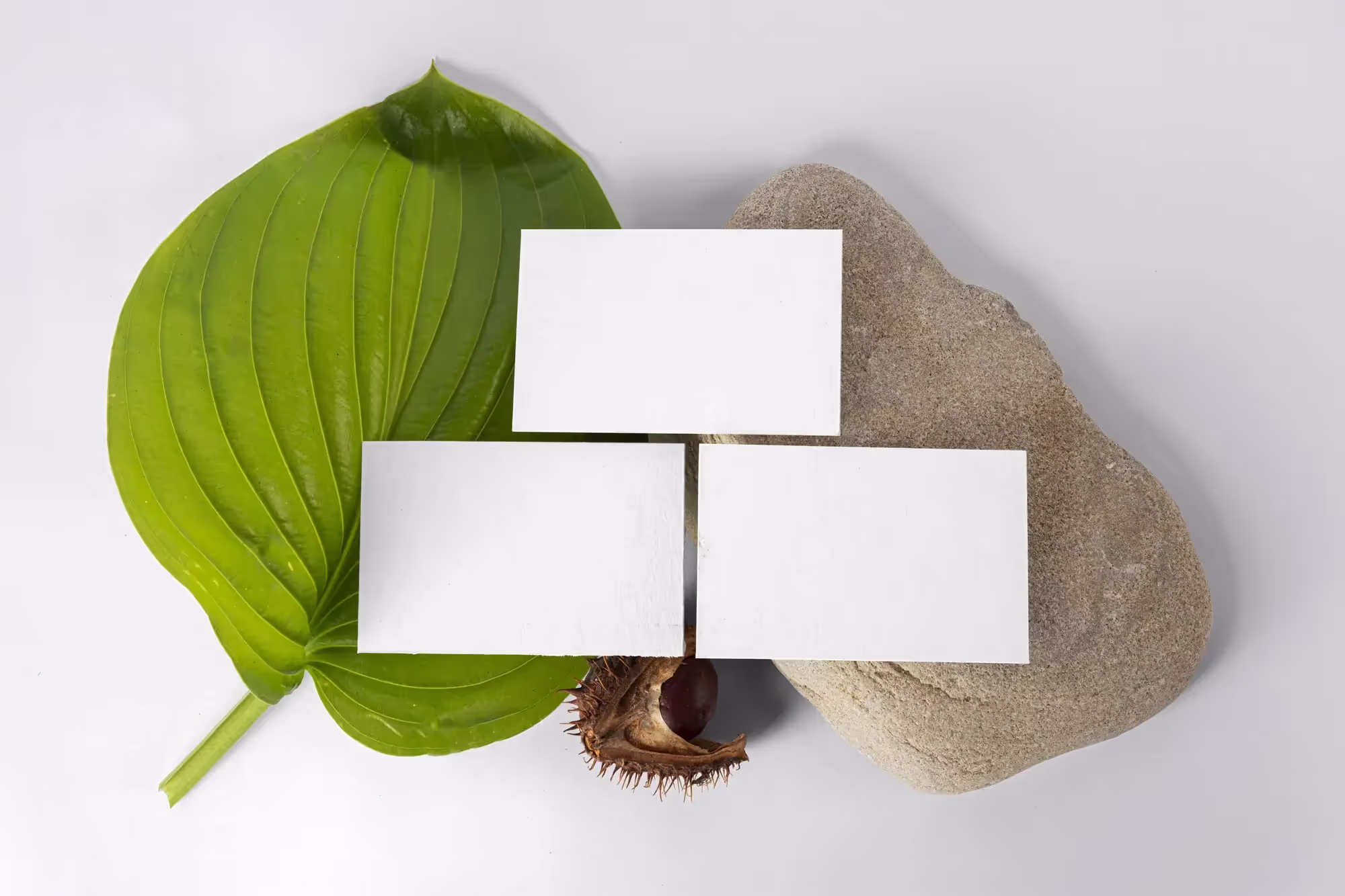 Free Three Business Cards Mockups | Professional Template