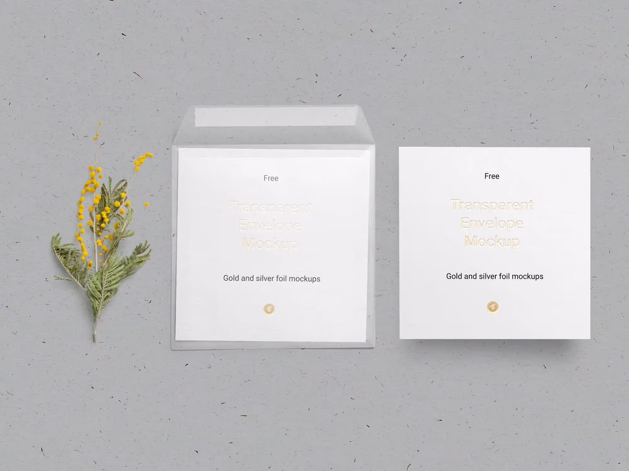 Free Envelope & Card Mockup | Download at ls.graphics