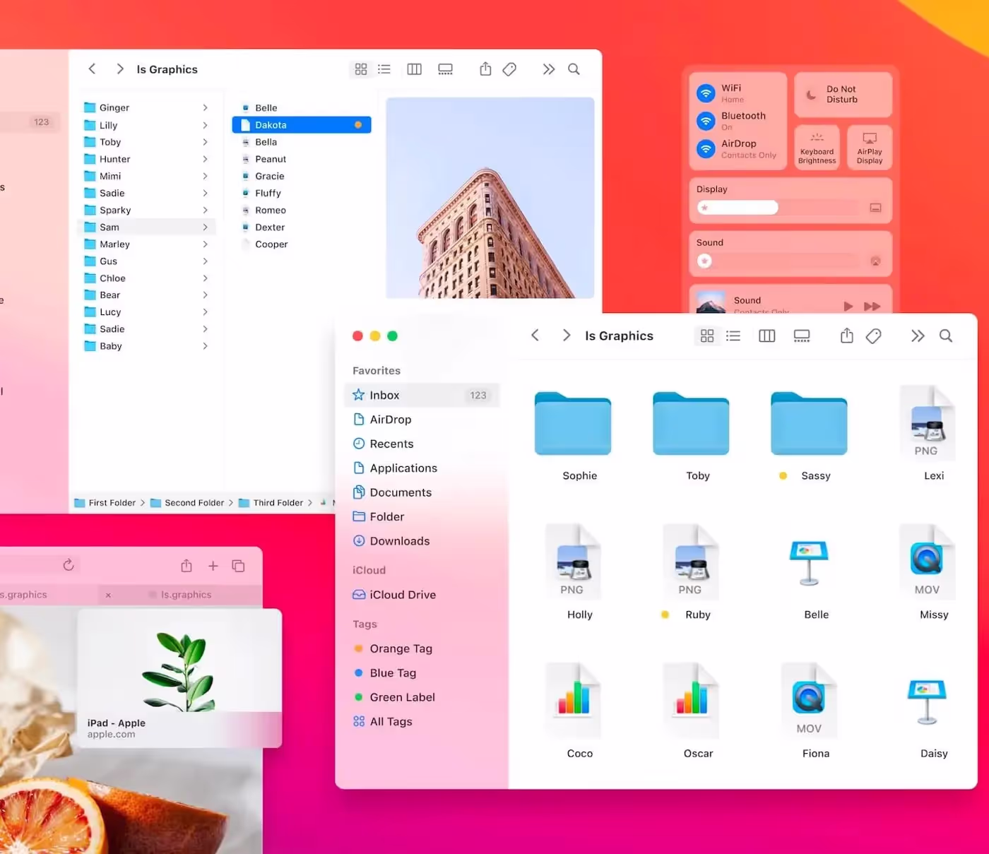 MacOS Big Sur | Pro Design Resource