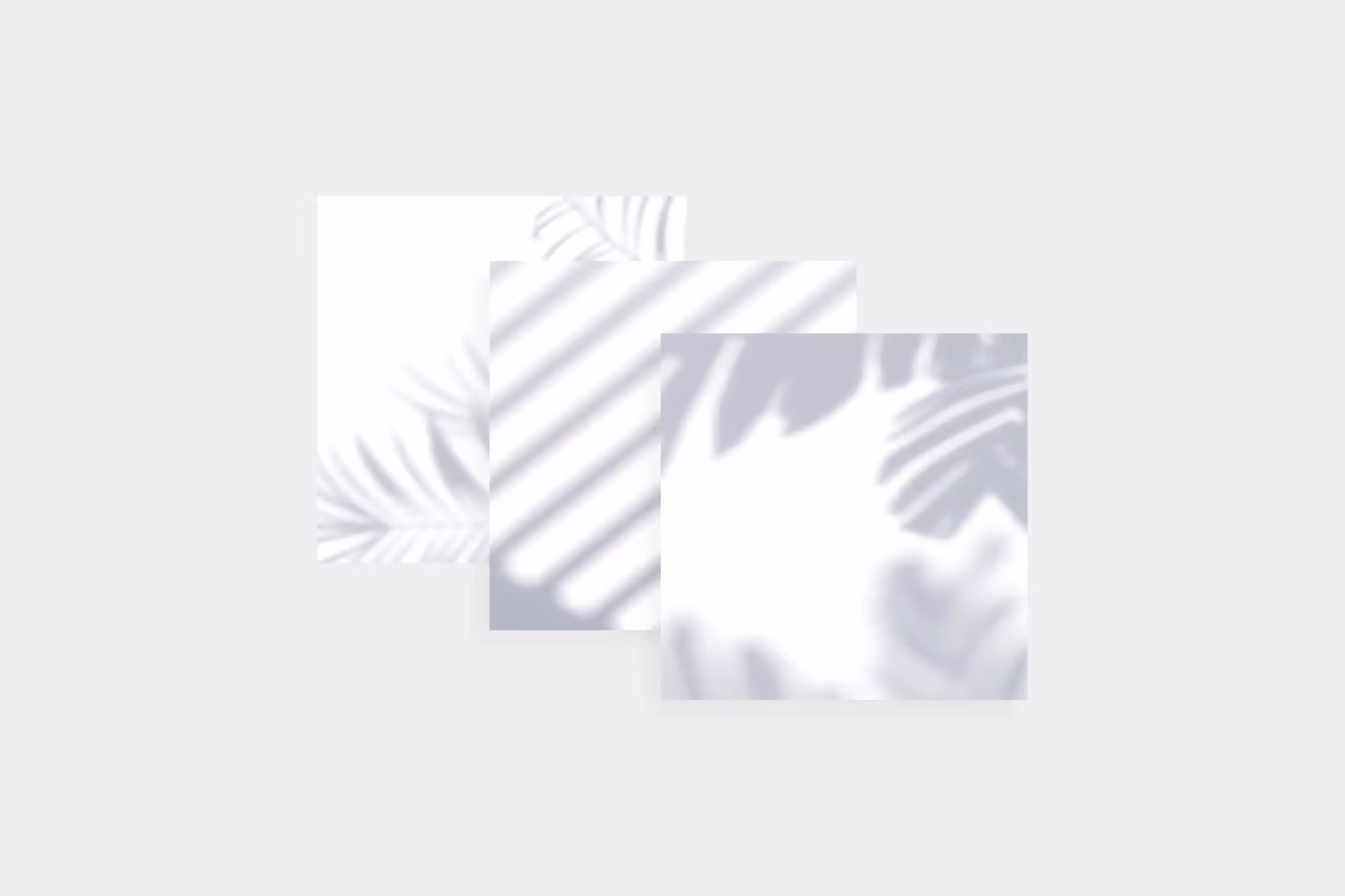 Hard Shadows | Top Selling Mockup