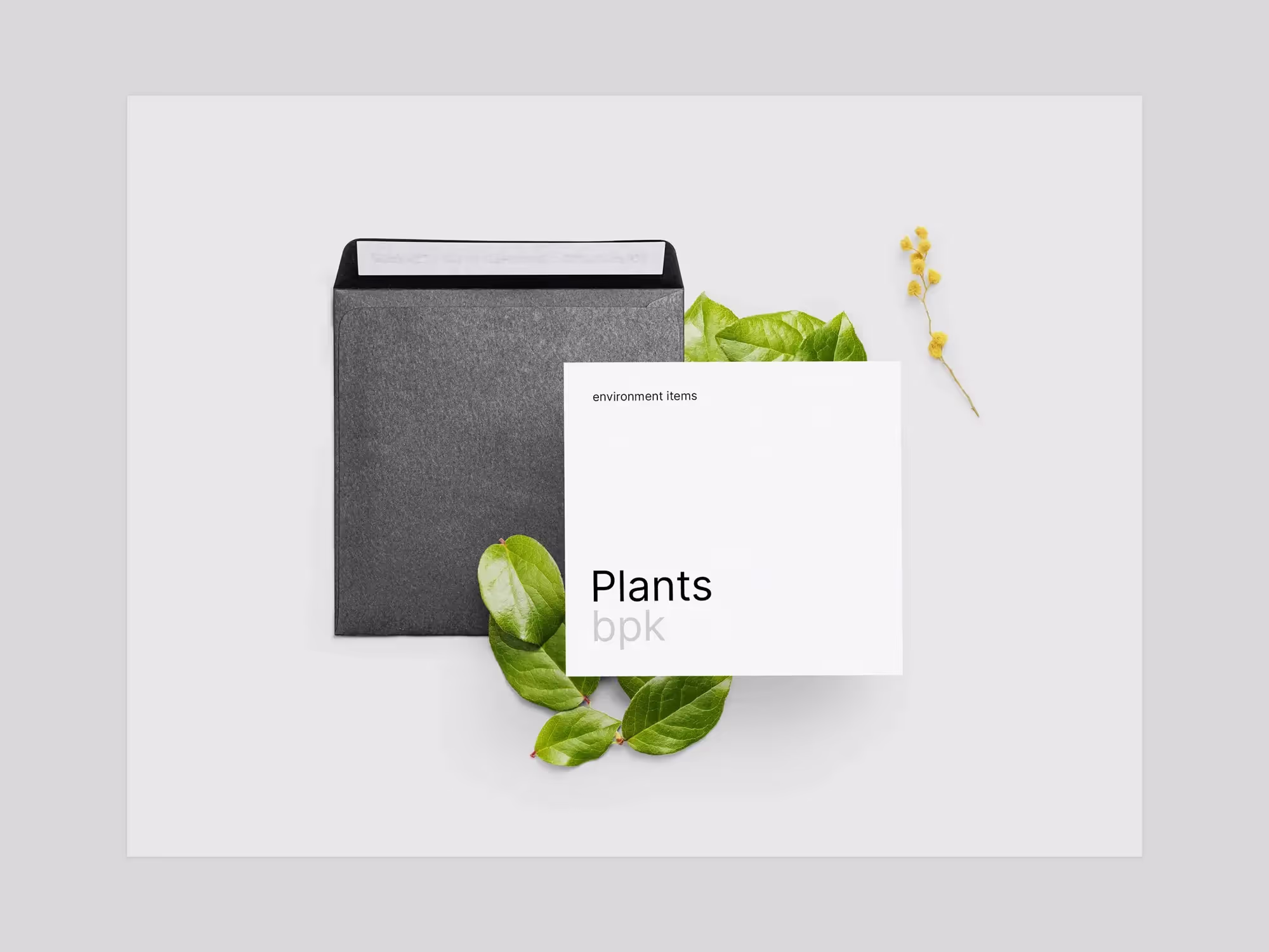 Plants | Pro Design Resource
