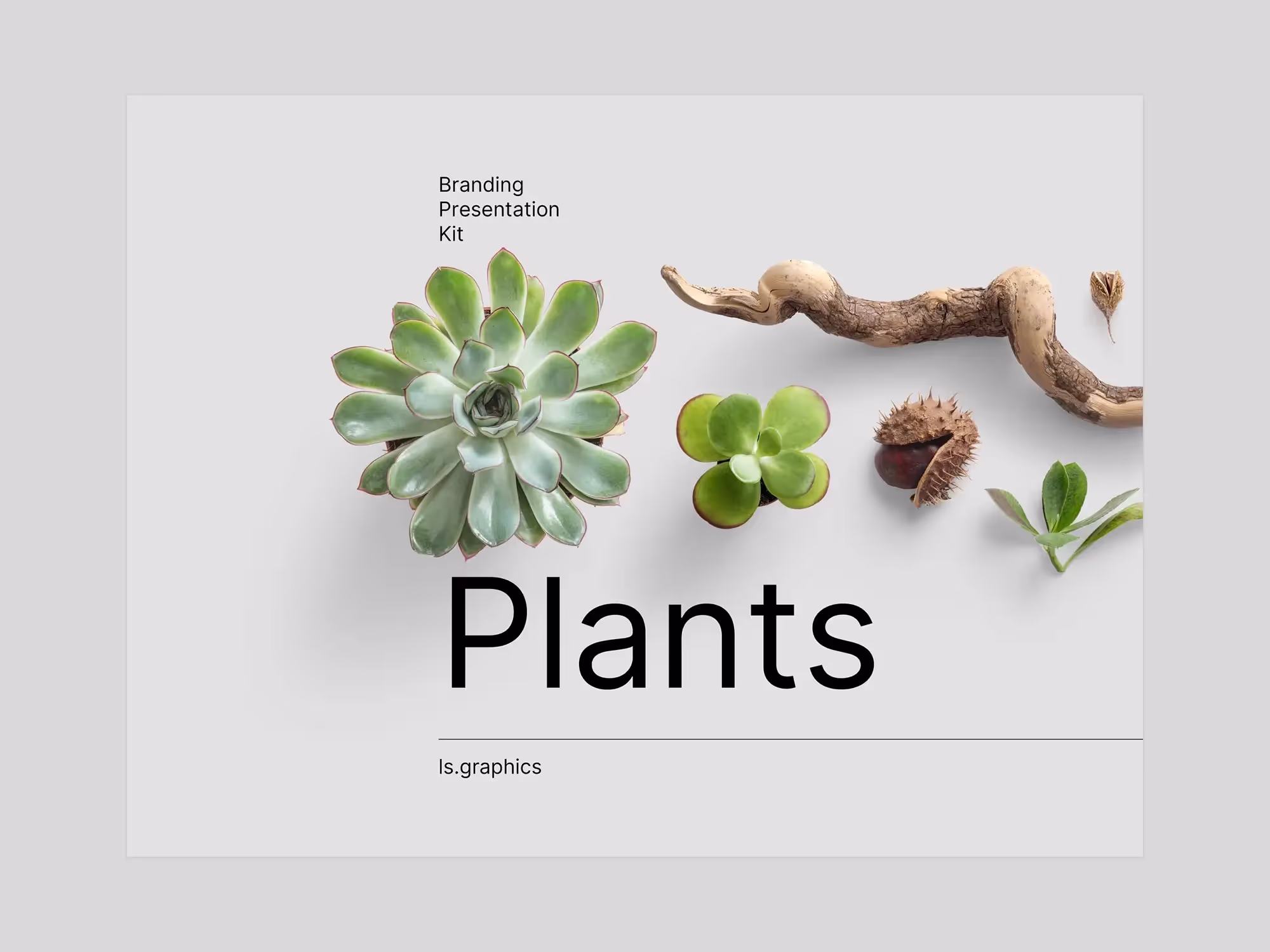 Plants | High Quality Asset