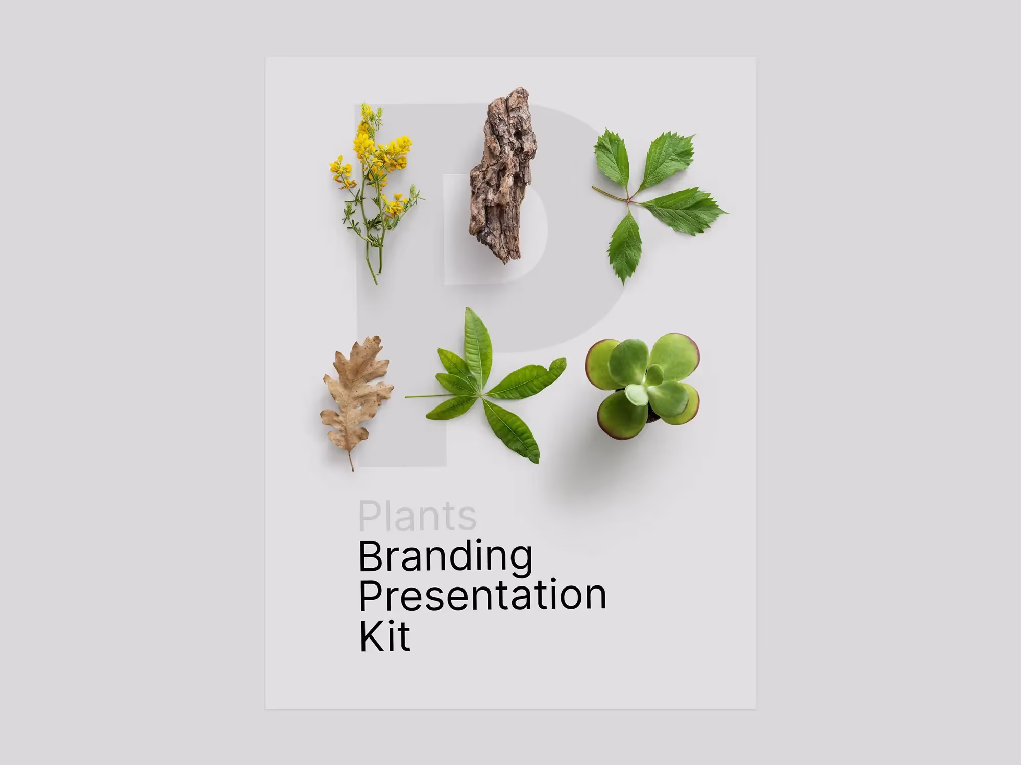Plants | Professional Template