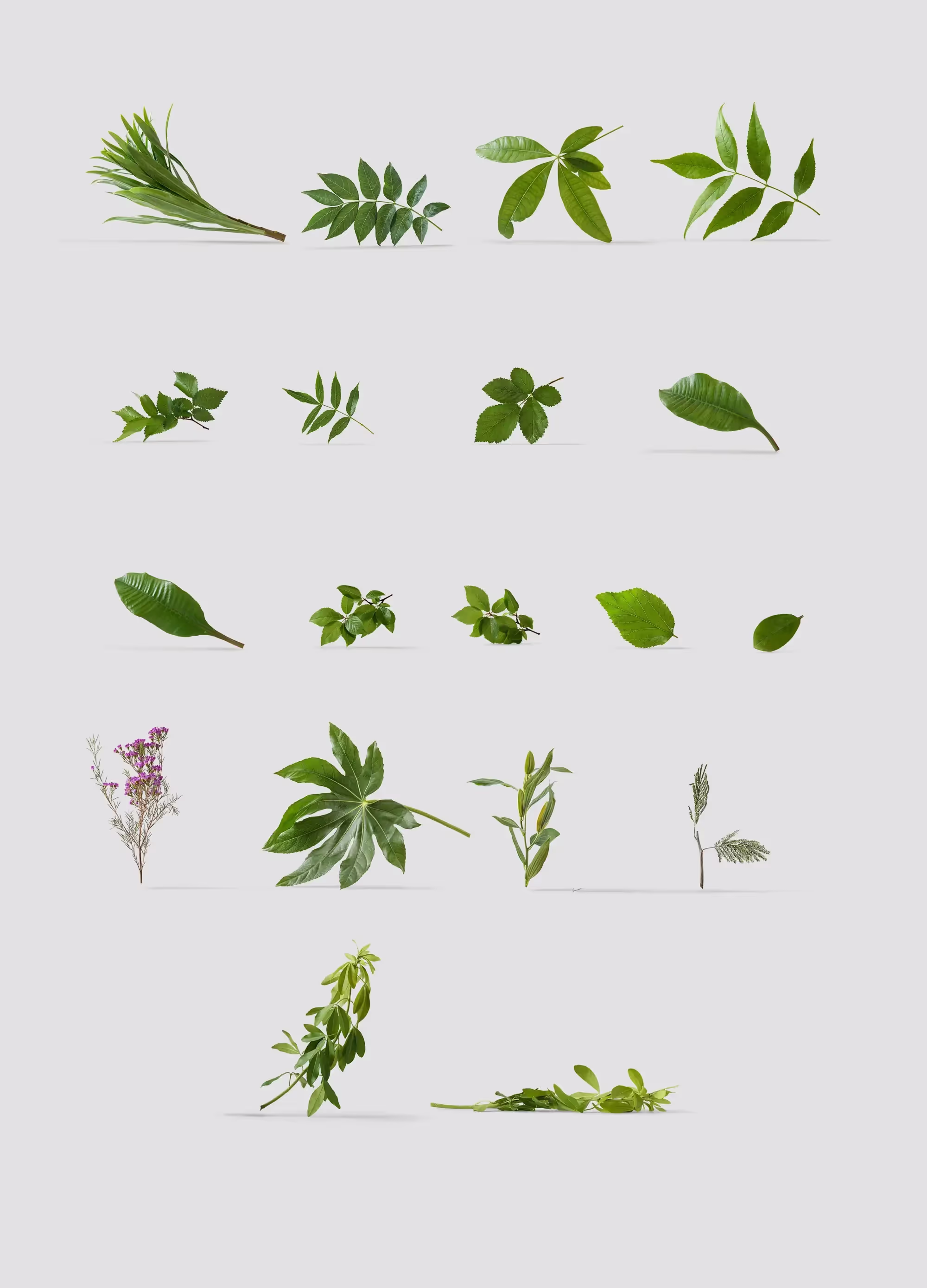 Plants | Best Seller Template