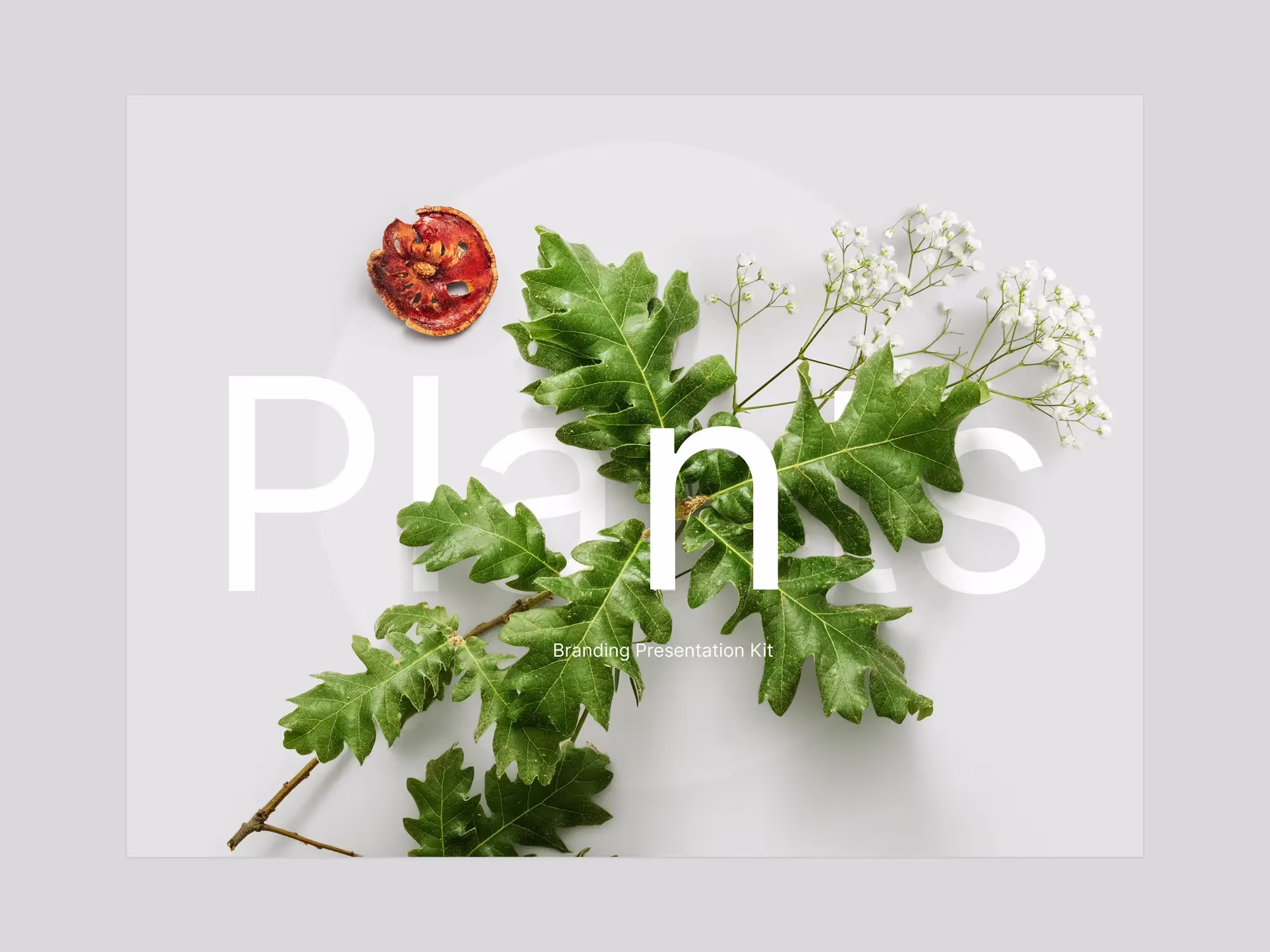Plants | Pro Design Resource