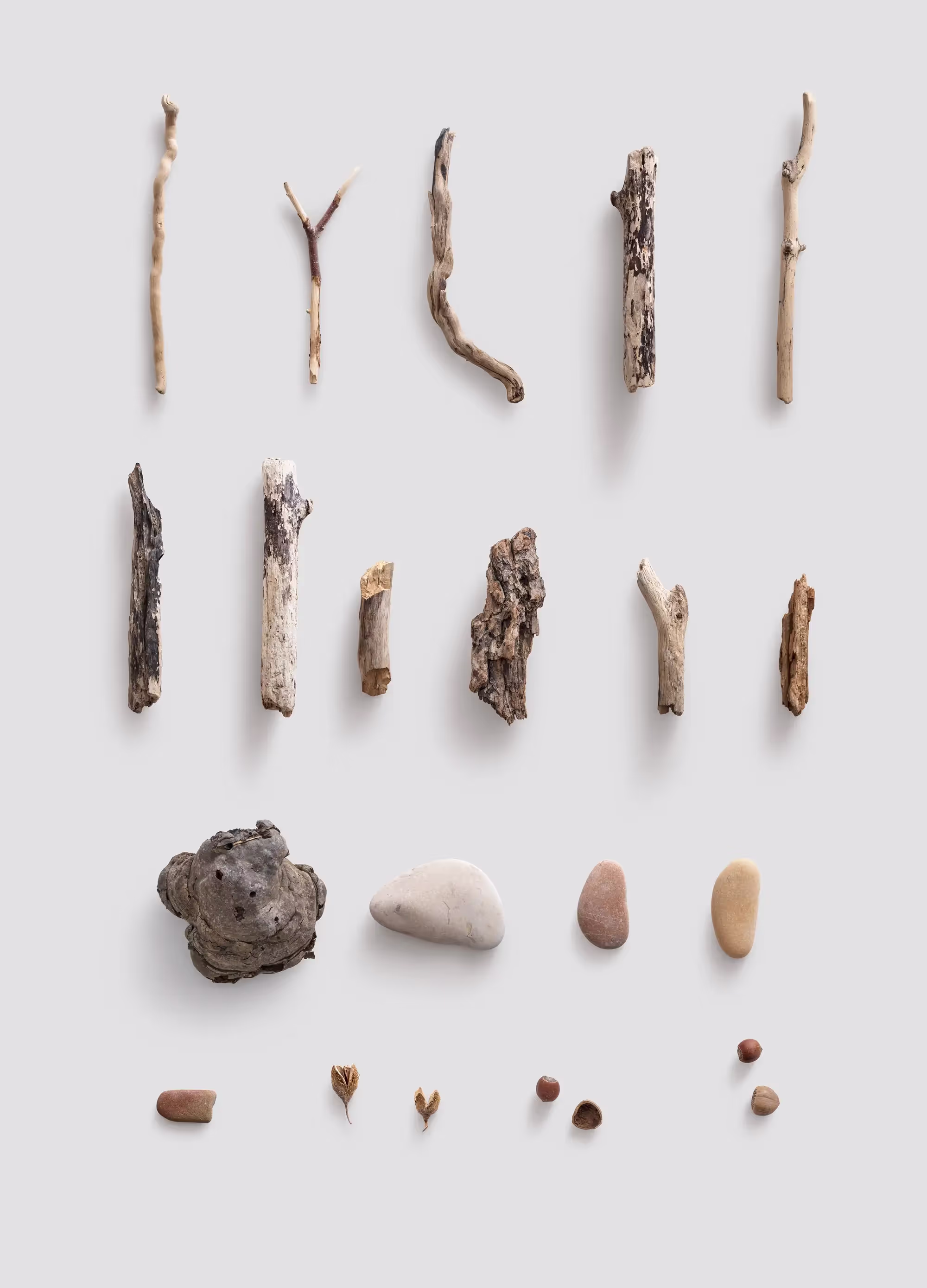 Plants | Professional Template