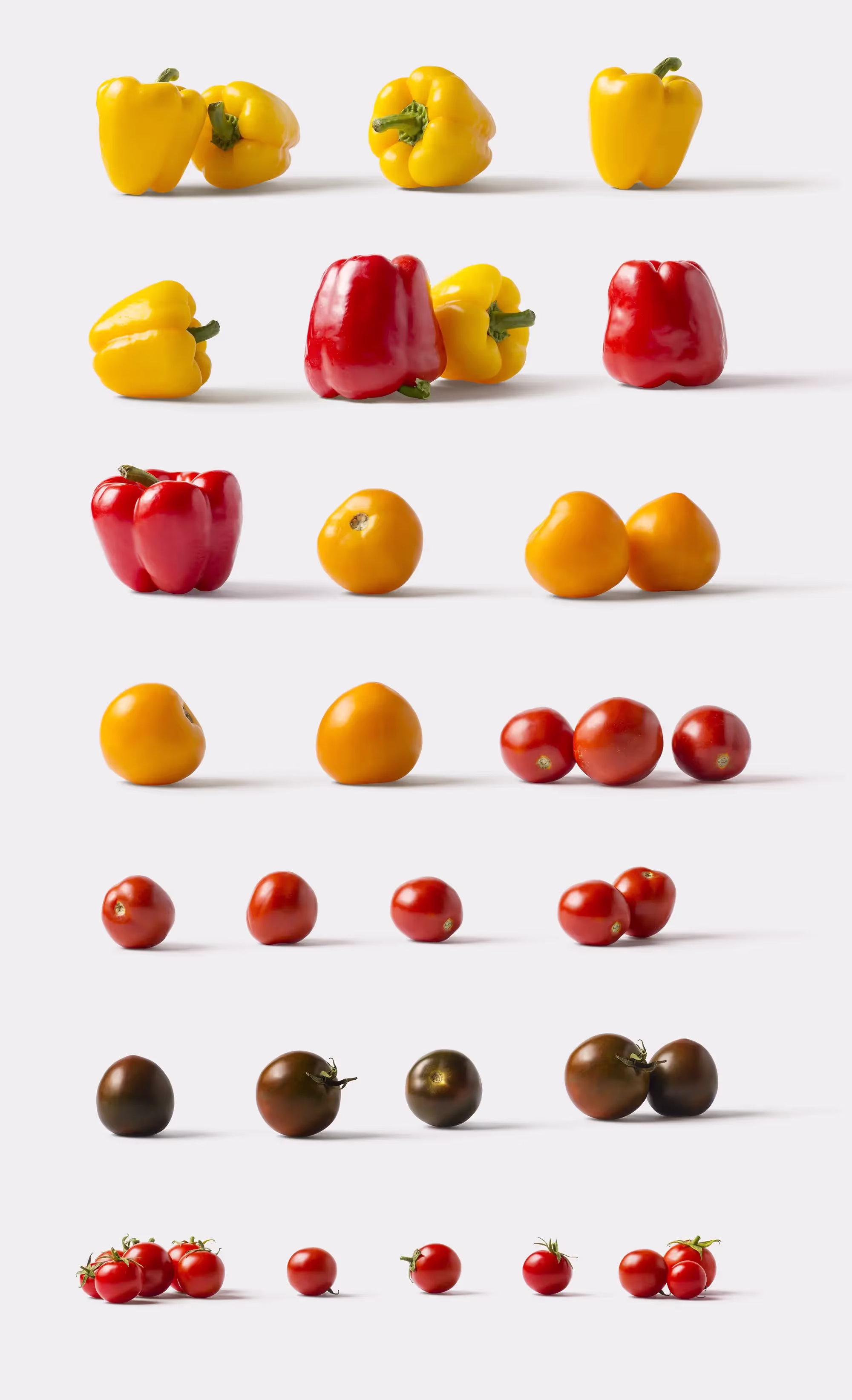 Fruits and Vegetables | Professional Template