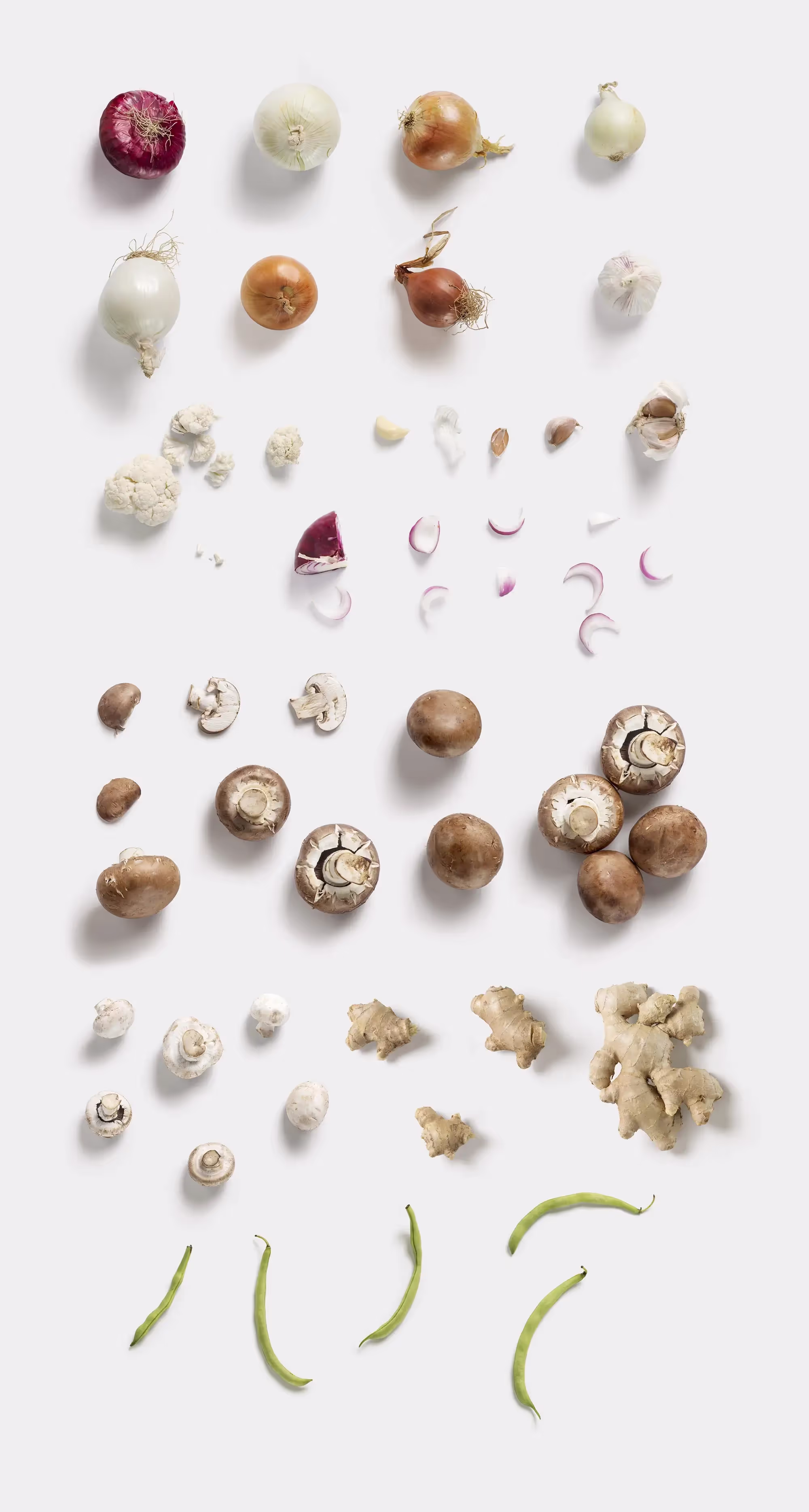 Fruits and Vegetables | Top Selling Mockup