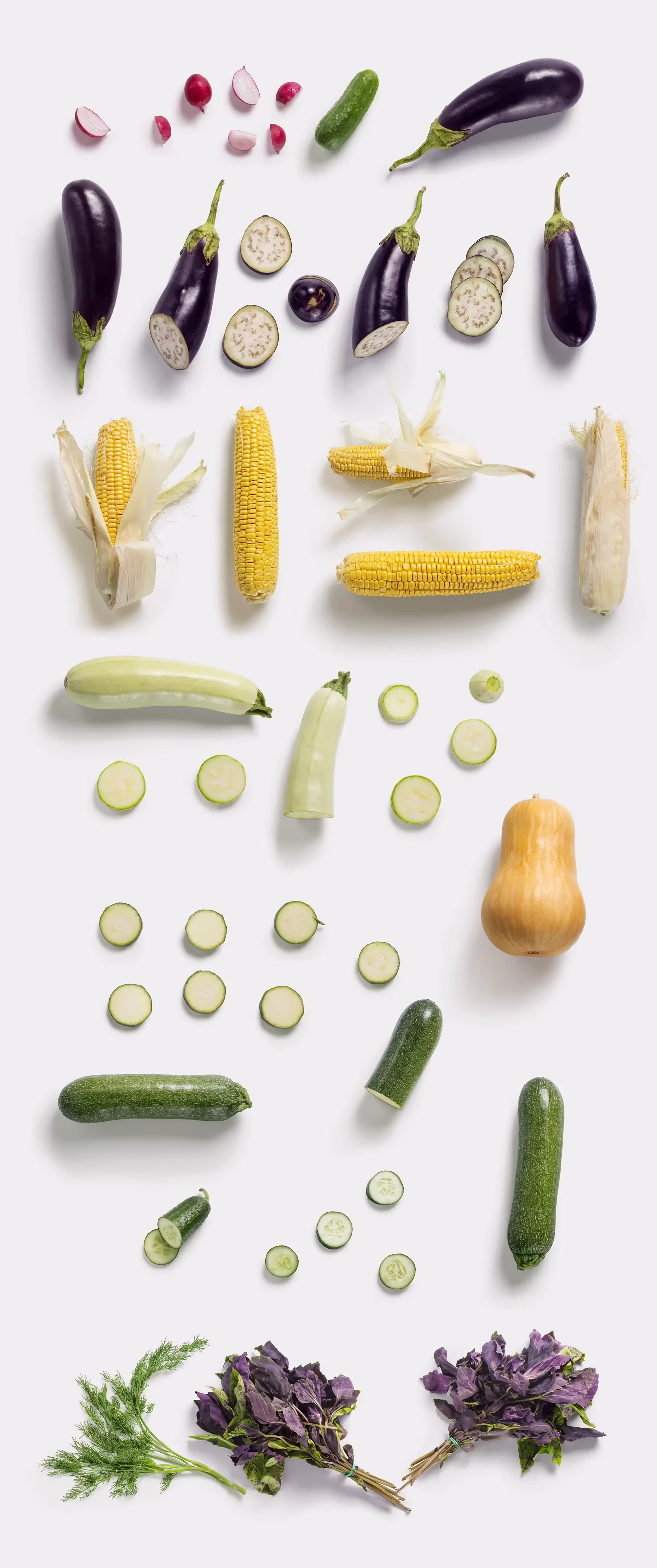 Fruits and Vegetables | Best Seller Template