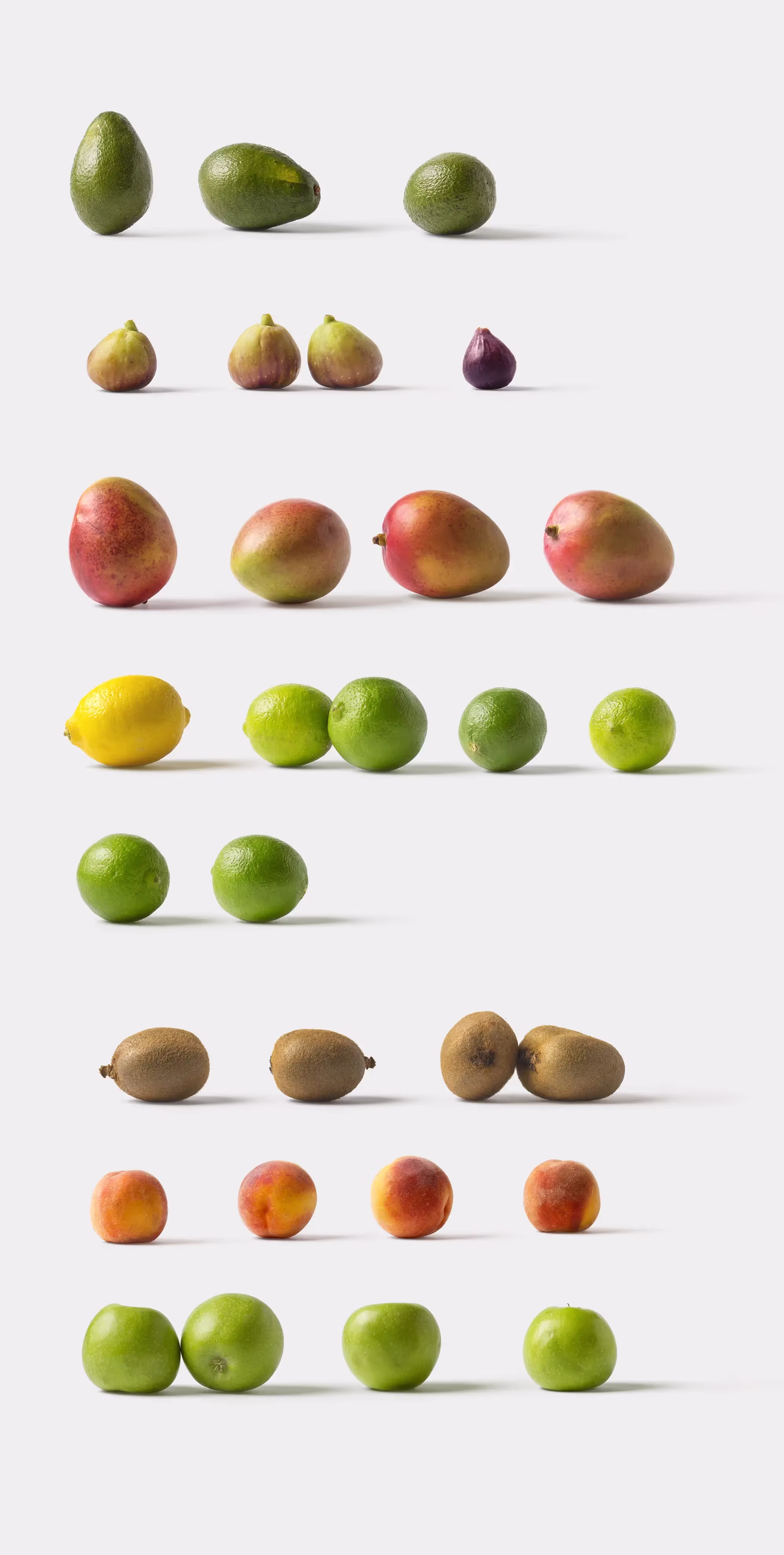 Fruits and Vegetables | Professional Template