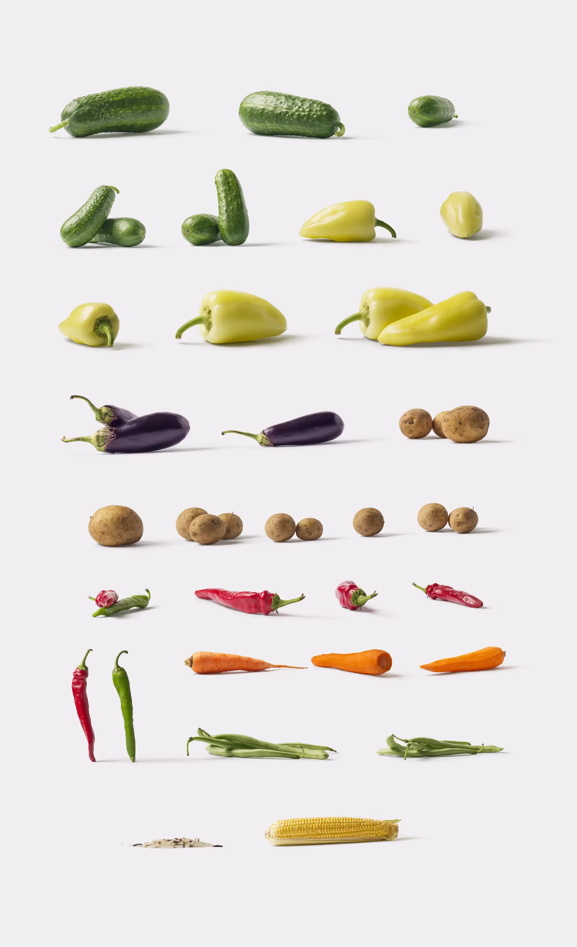 Fruits and Vegetables | Pro Design Resource