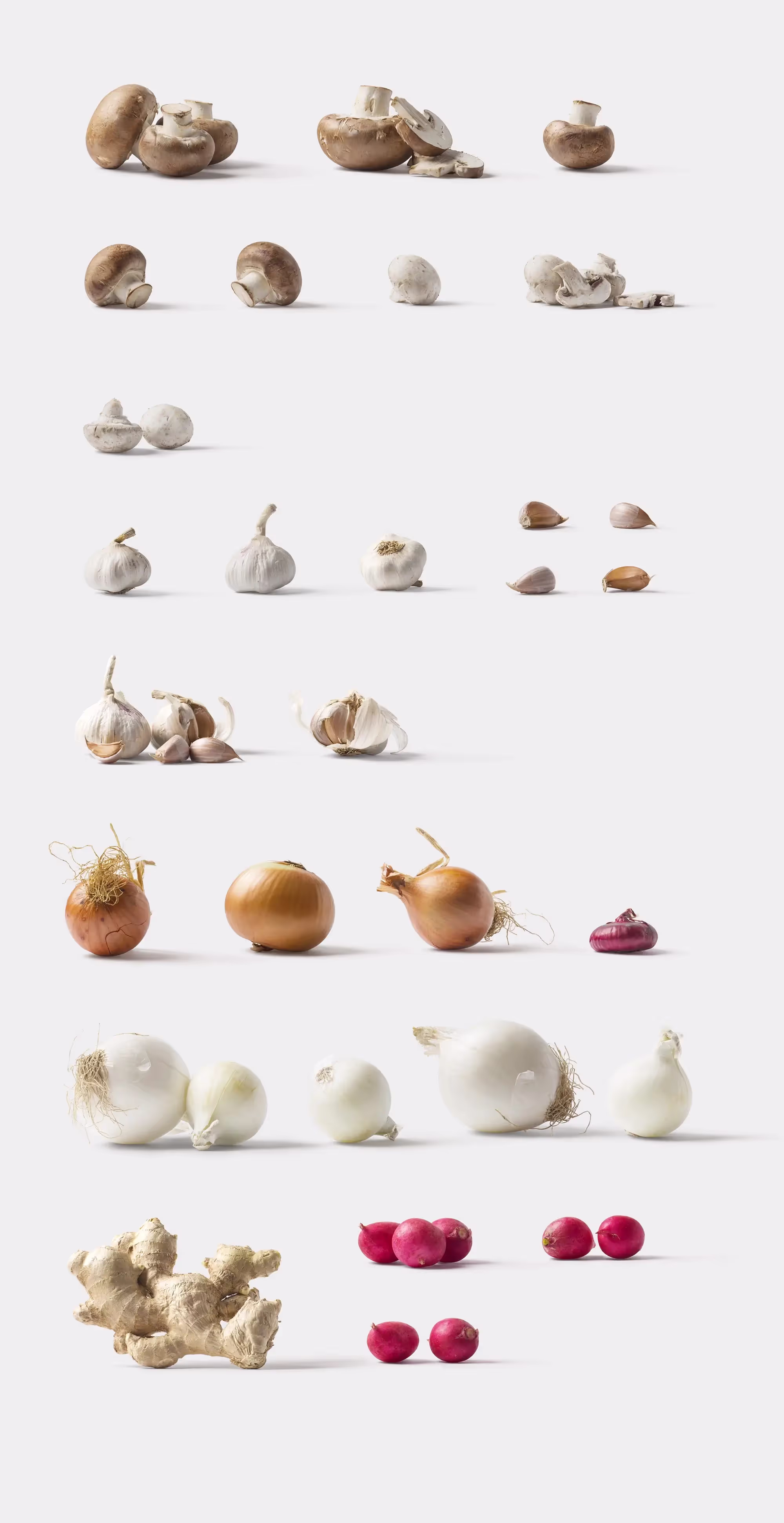 Fruits and Vegetables | Premium Download Ready