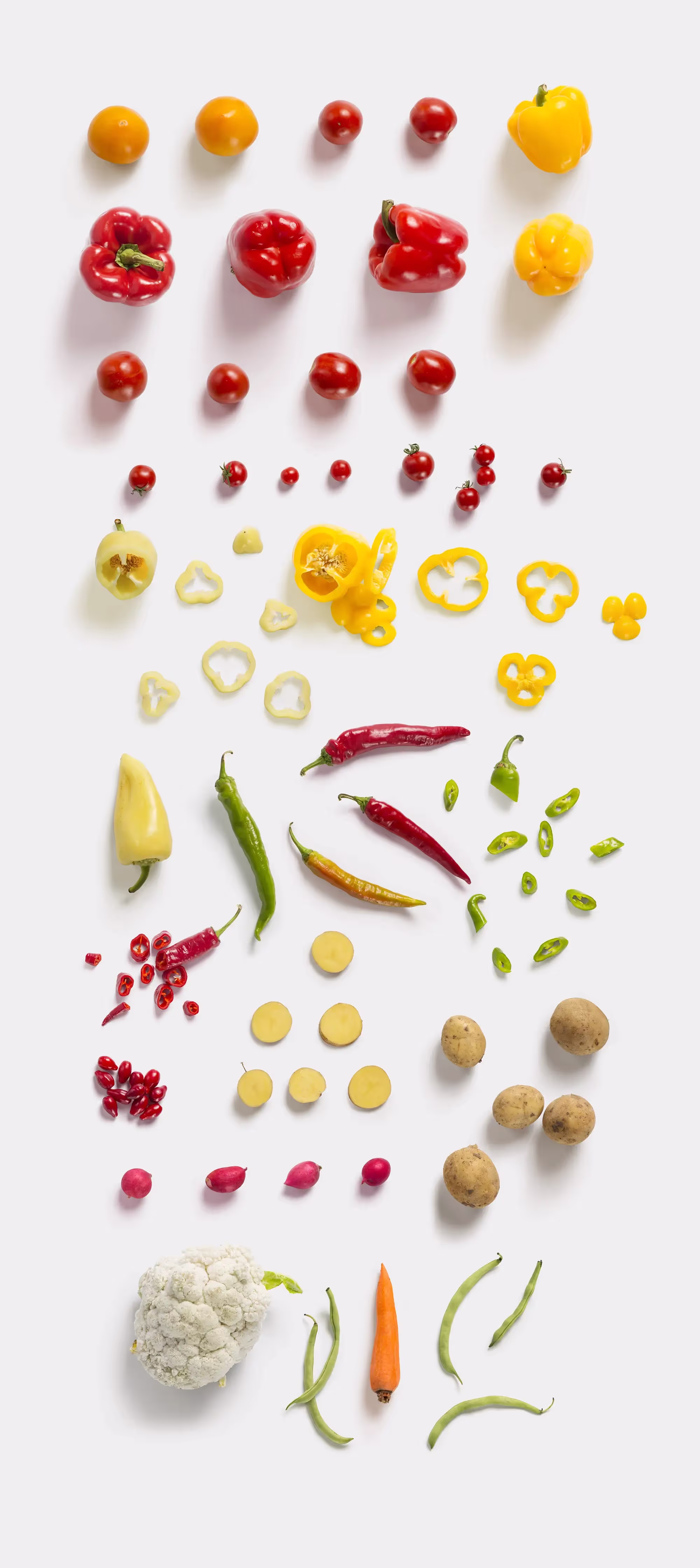 Fruits and Vegetables | Commercial License Ready