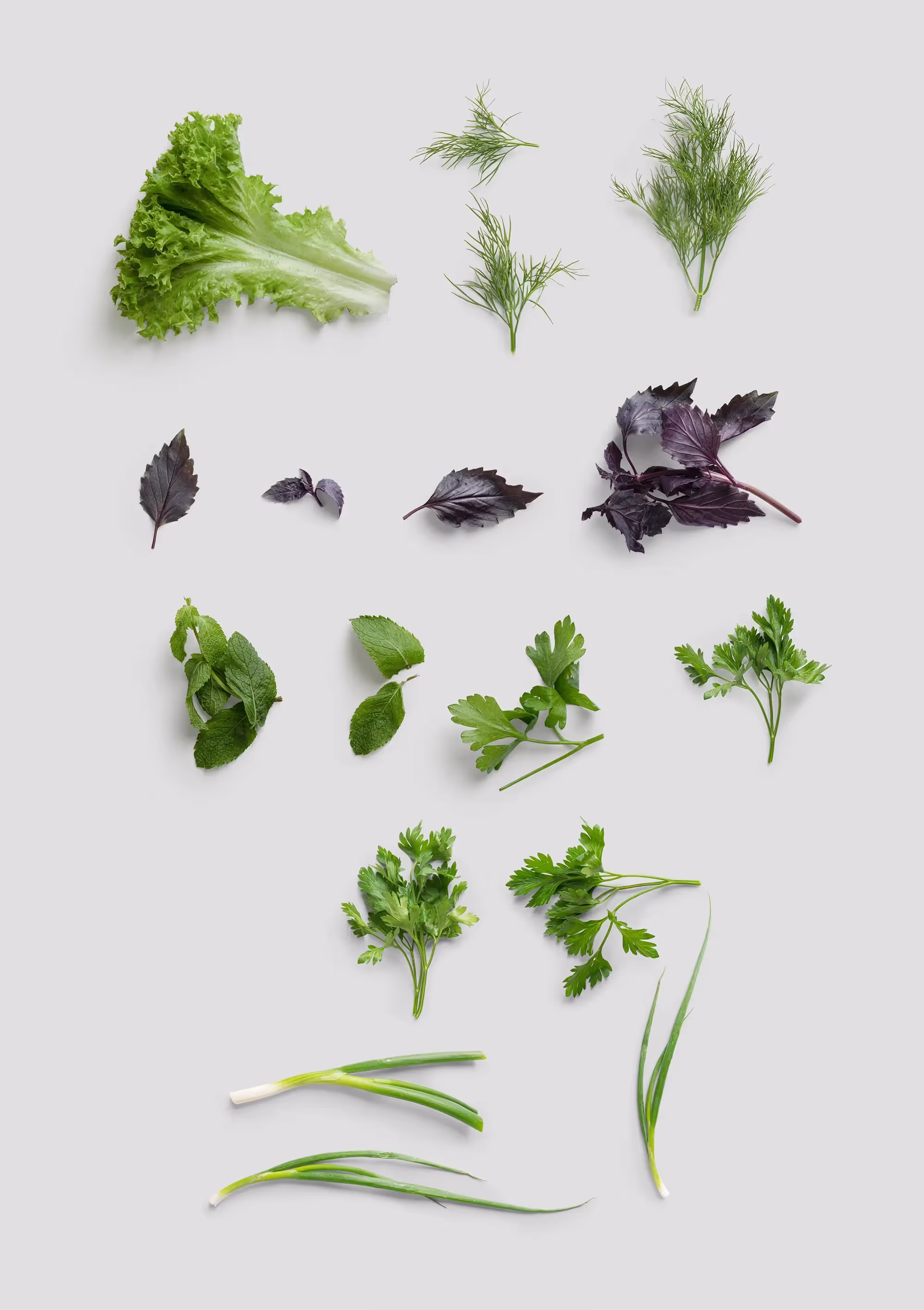 Food Items | Commercial License Ready