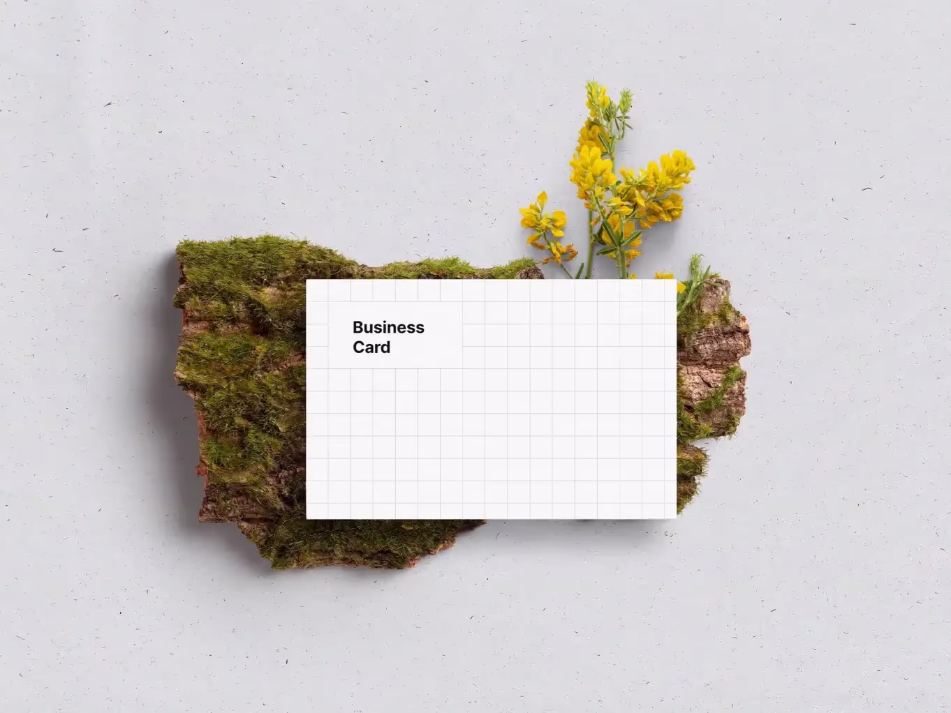 Business Card Mockups | Pro Design Resource
