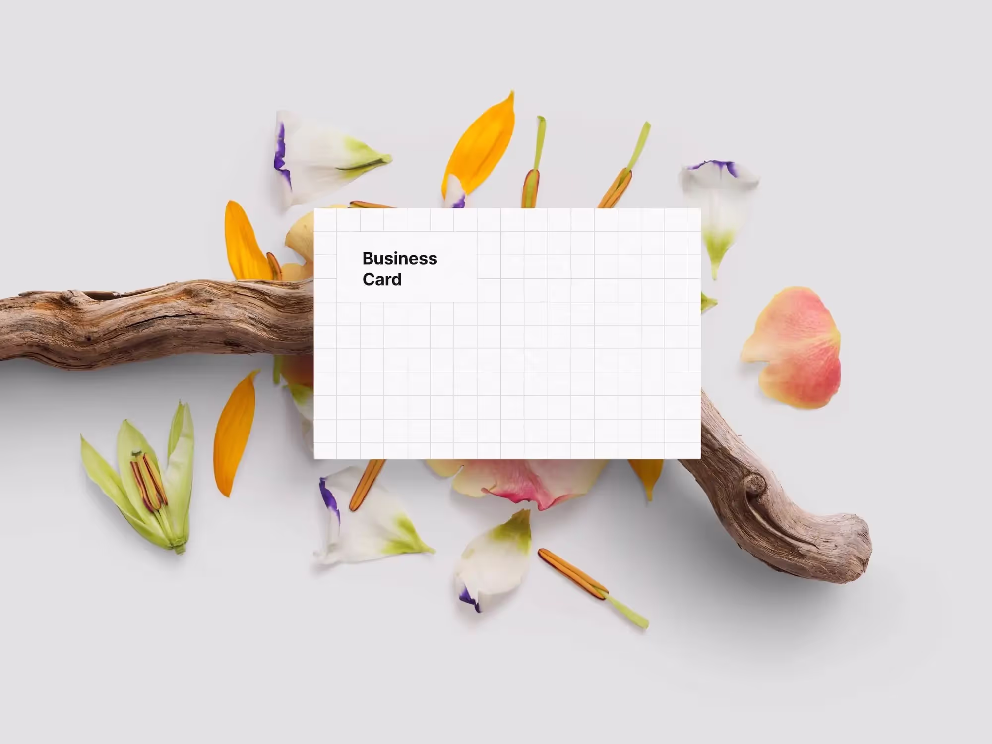 Business Card Mockups | Commercial License Ready