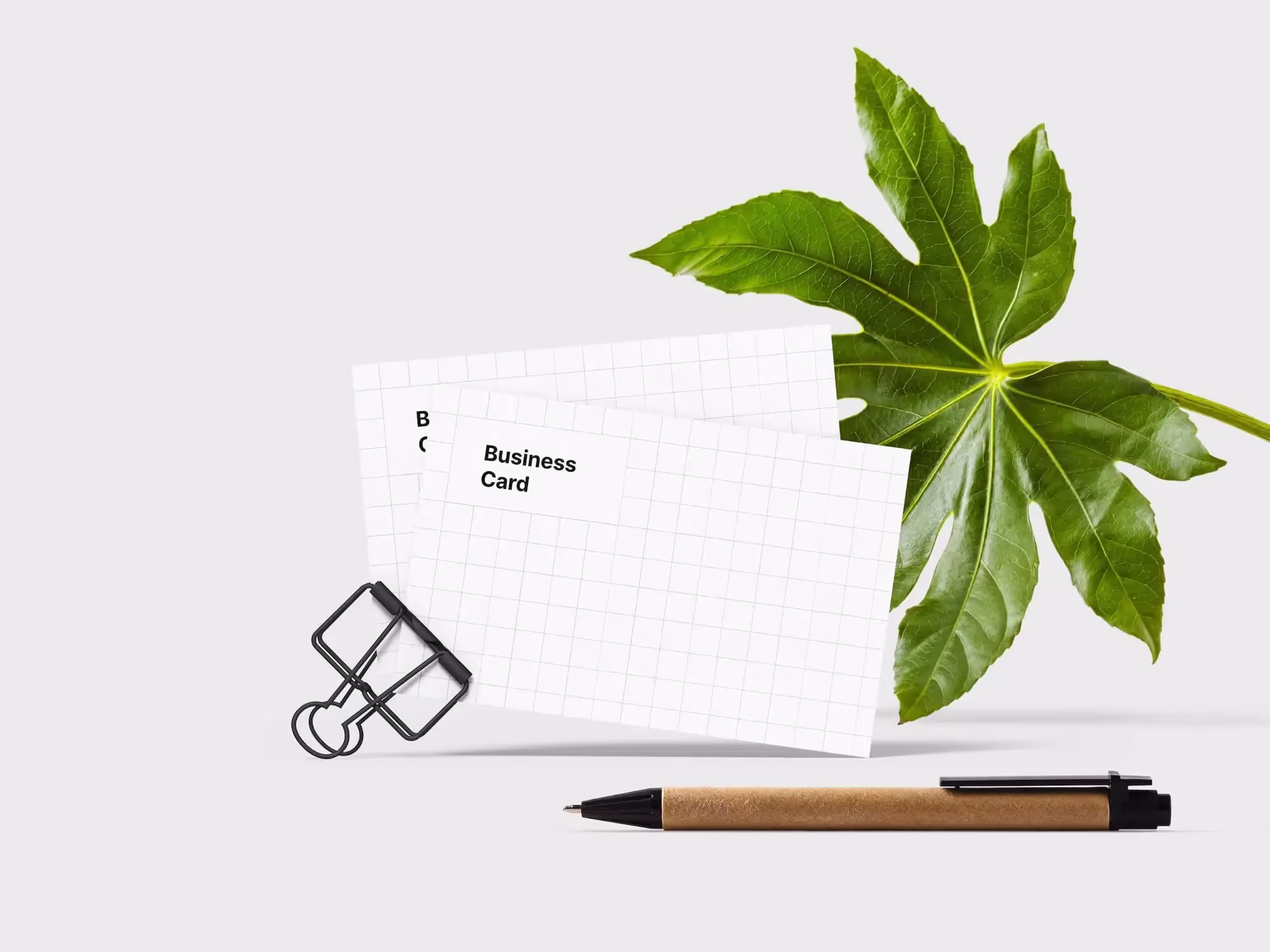 Business Card Mockups | Full Resolution File