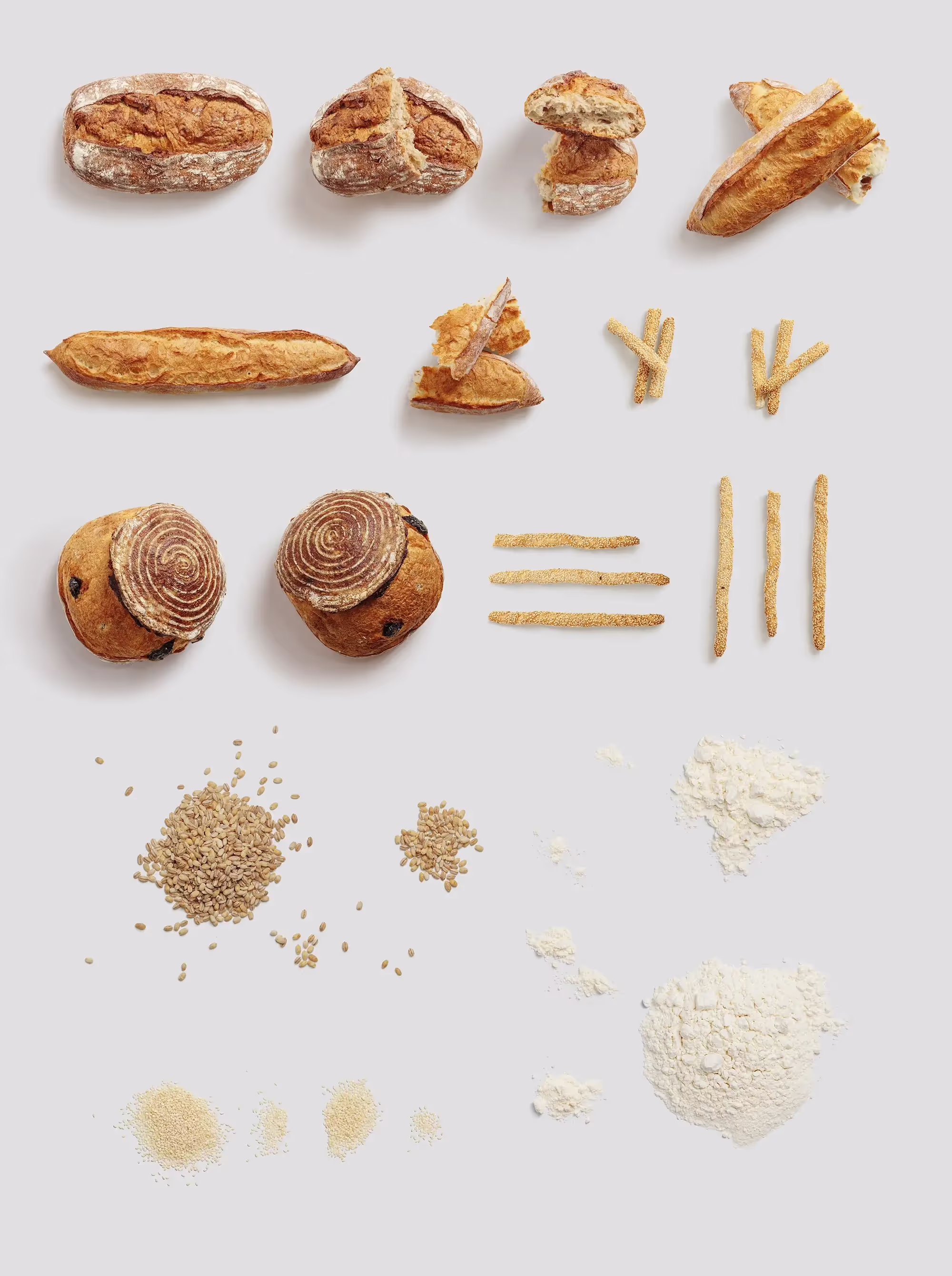 Bread and Bakery | Premium Download Ready