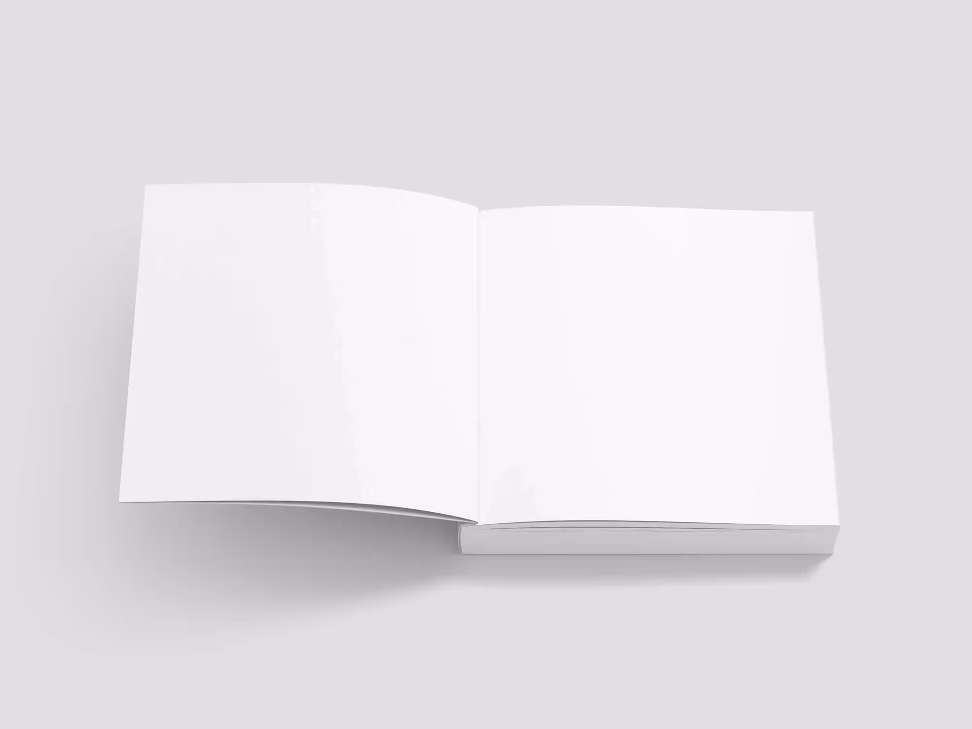 Book Mockups | Pro Designer Pack