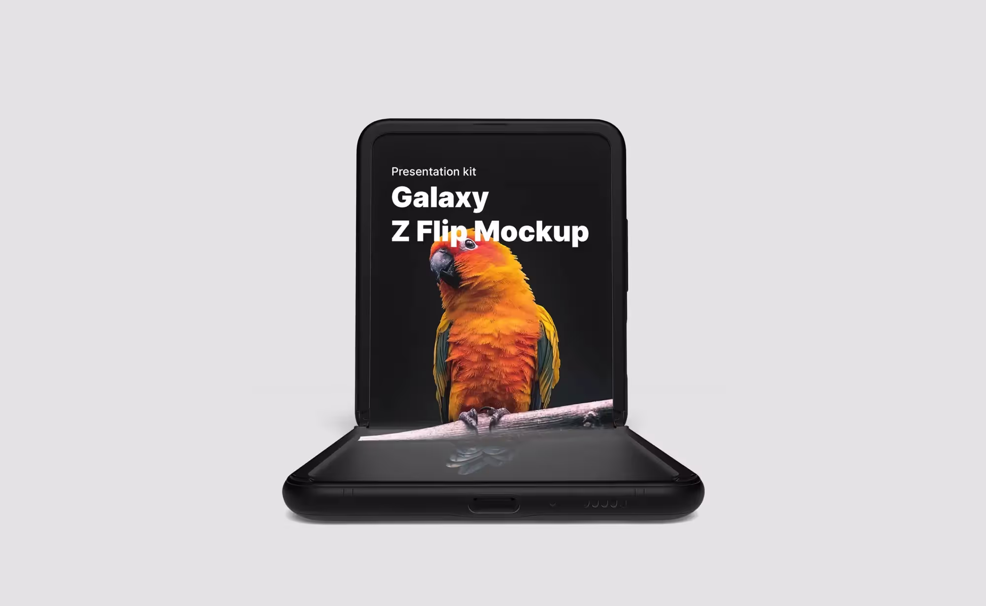 Samsung Galaxy Z Flip | Full Resolution File