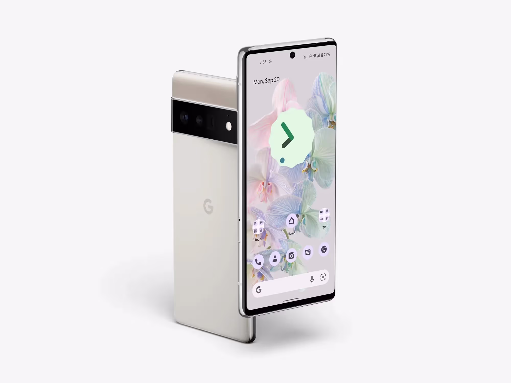 Google Pixel 6 Pro Mockups | High Quality Asset