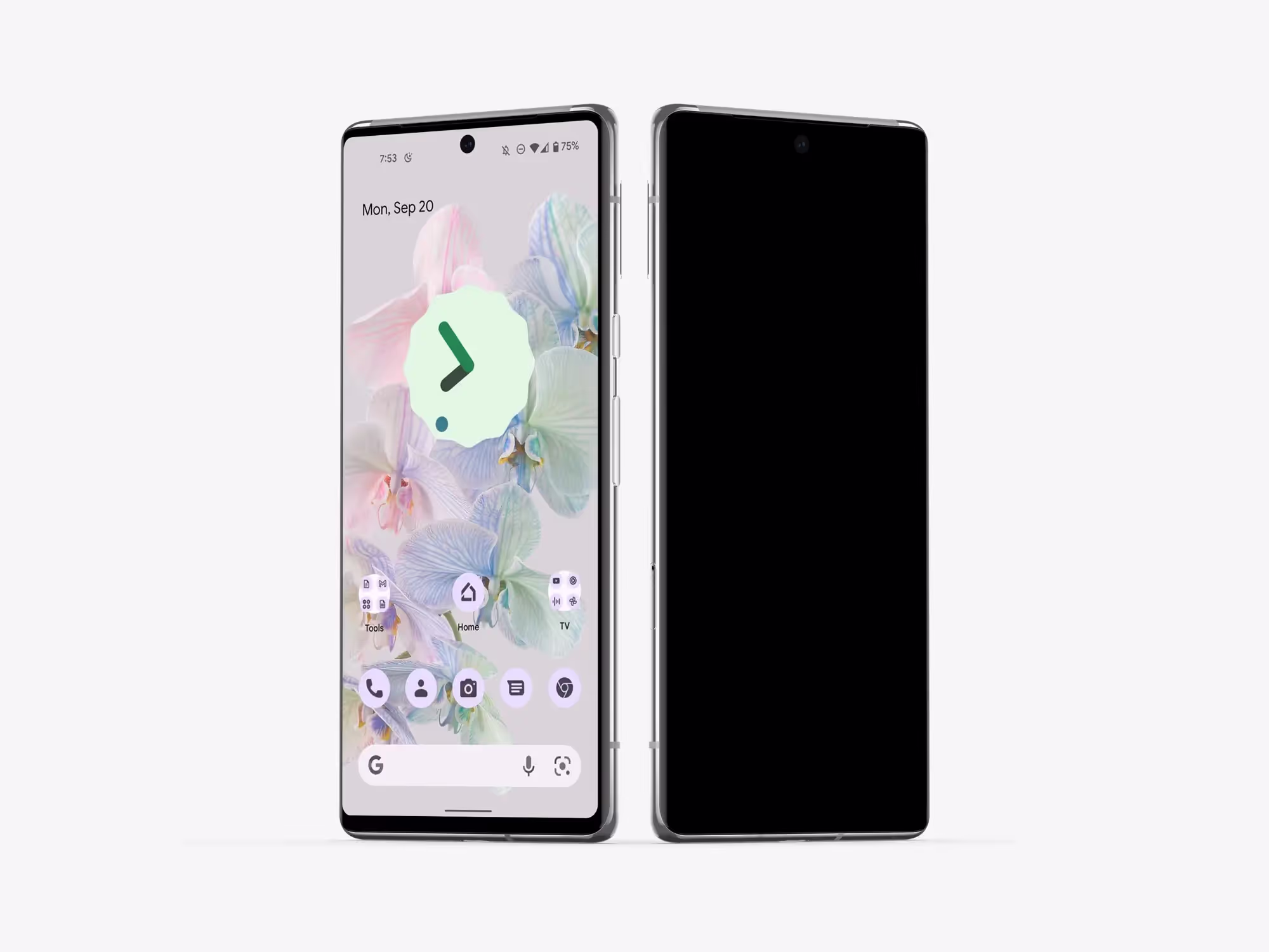 Google Pixel 6 Pro Mockups | Professional Template