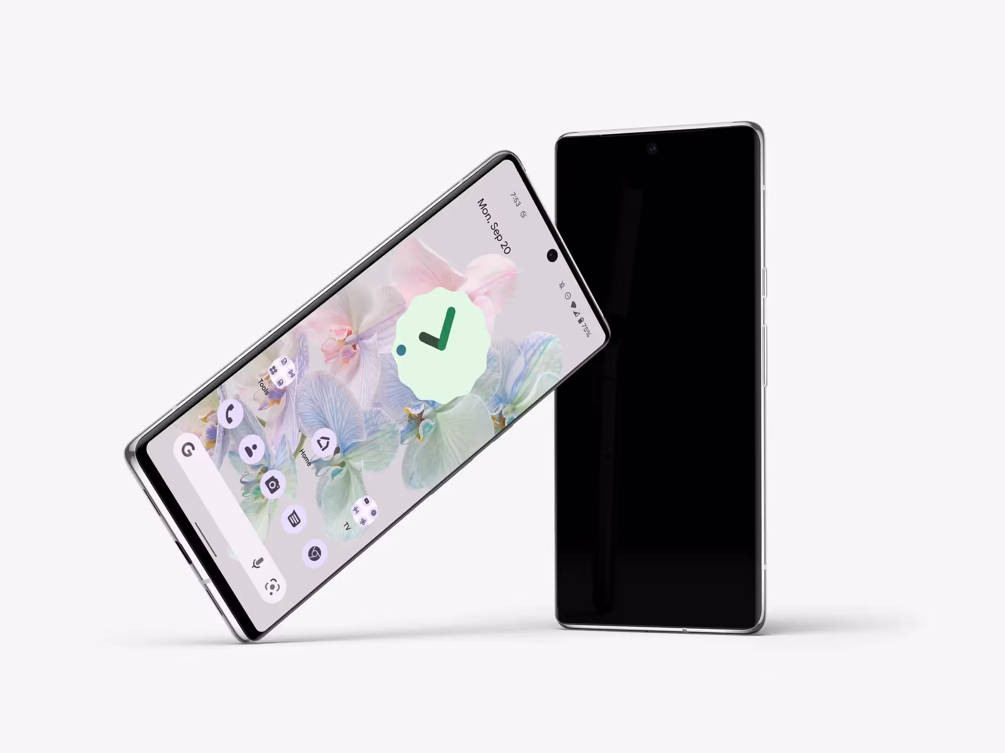 Google Pixel 6 Pro Mockups | High Quality Asset