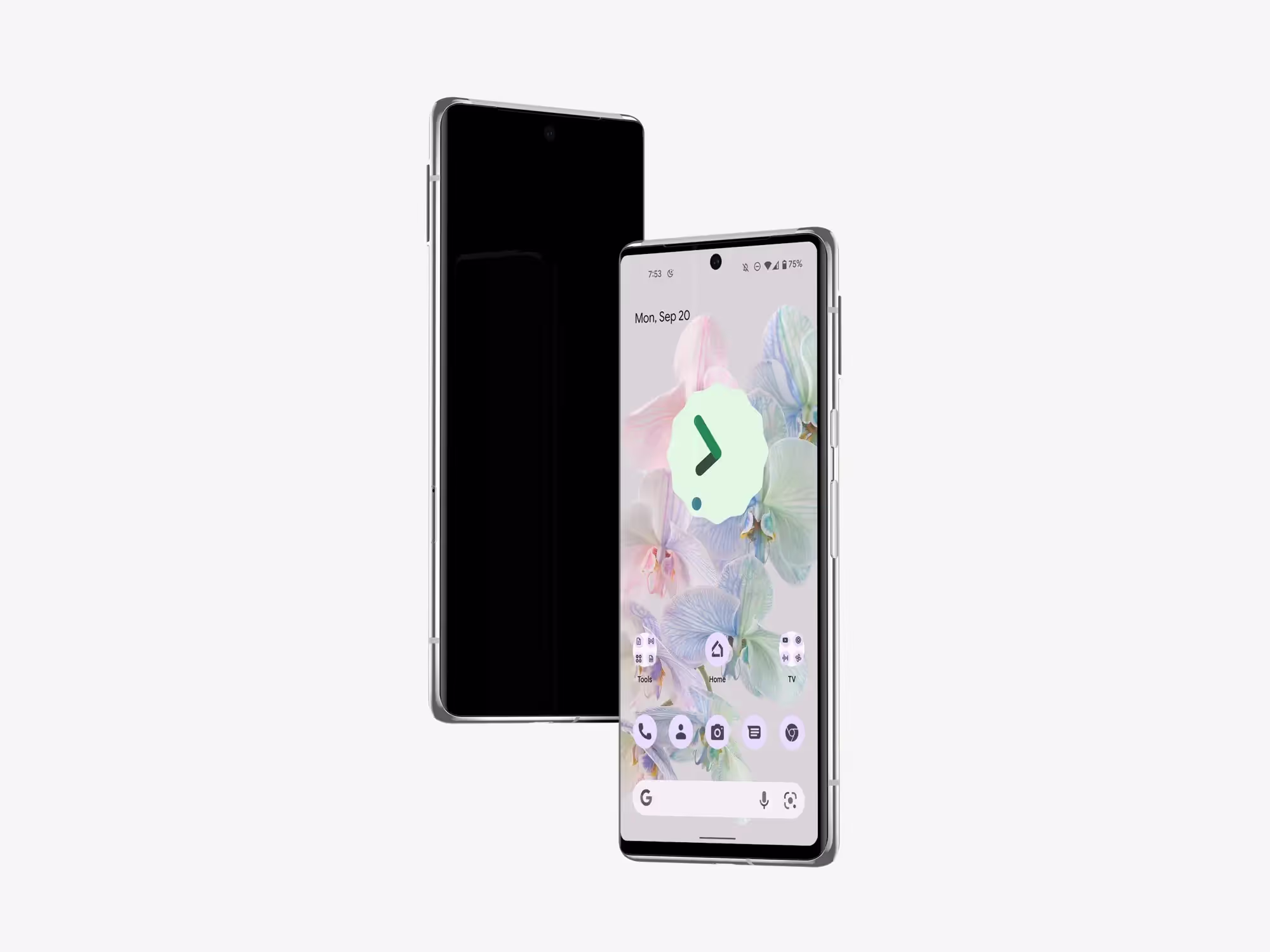 Google Pixel 6 Pro Mockups | Commercial License Ready