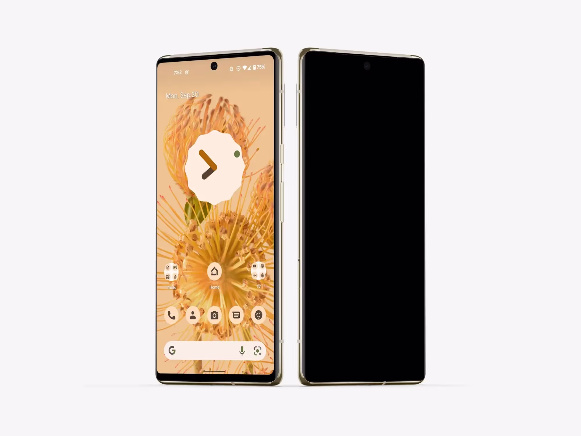 Google Pixel 6 Pro Mockups | Best Seller Template