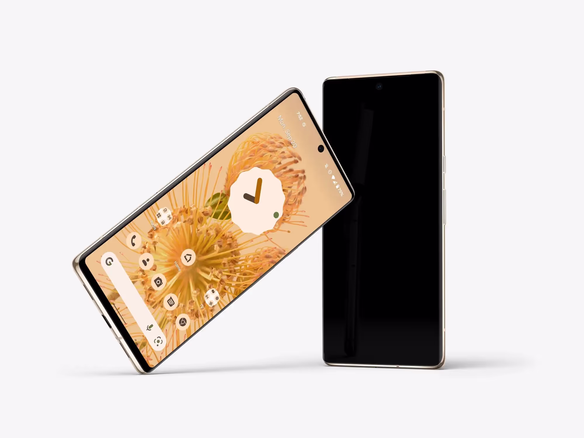 Google Pixel 6 Pro Mockups | Top Selling Mockup
