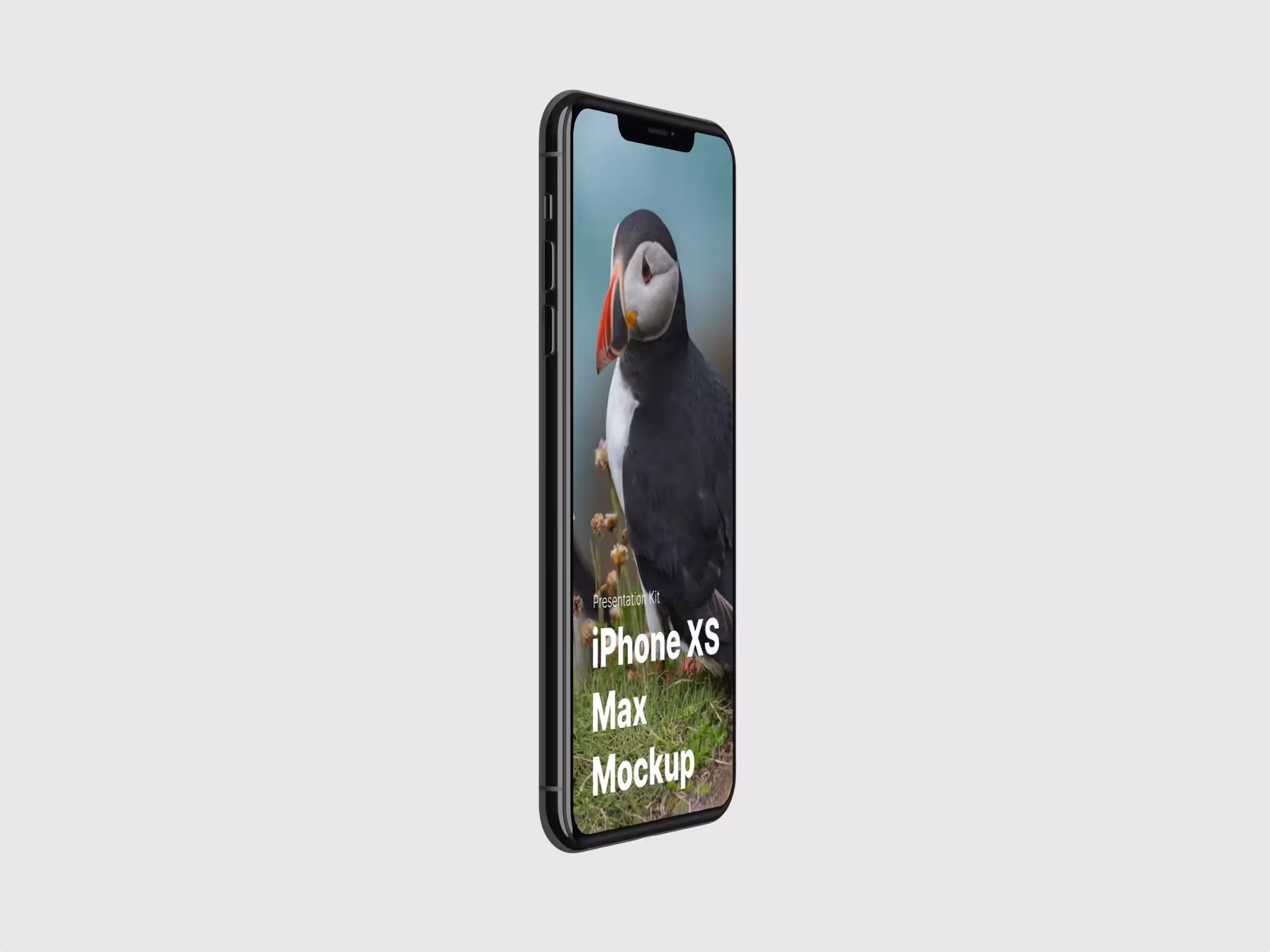 iPhone XS  Max Mockups | Pro Designer Pack