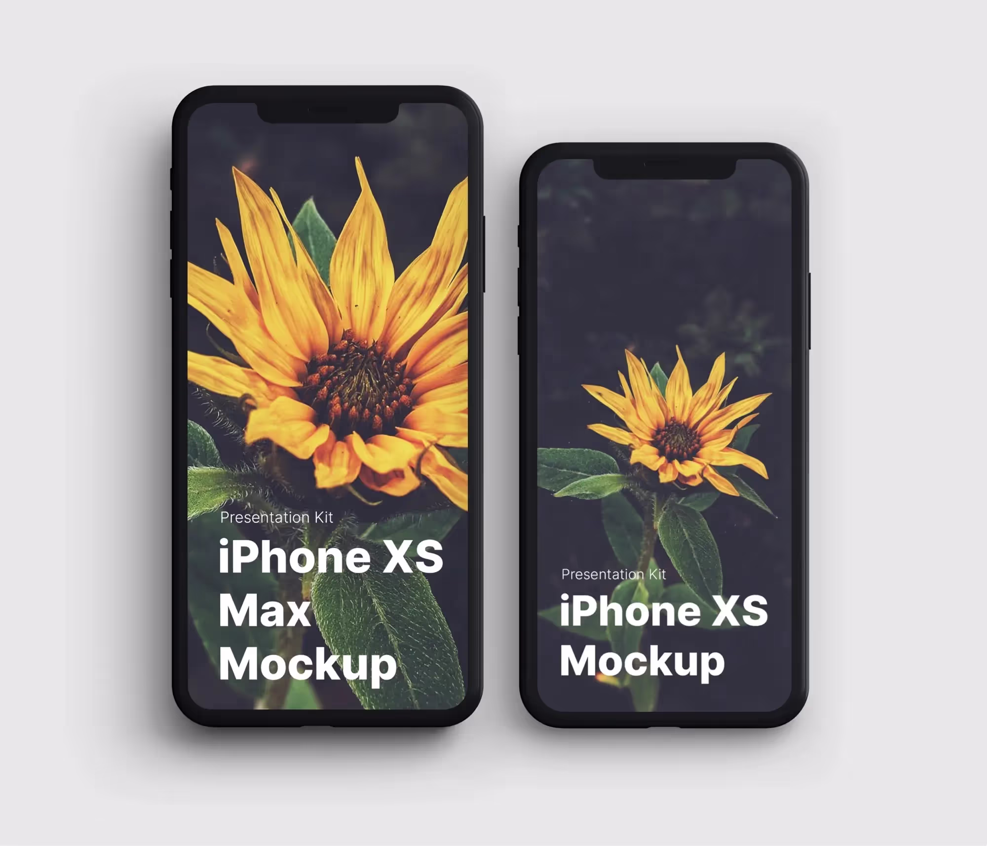 iPhone XS  Max Mockups | Best Commercial Version