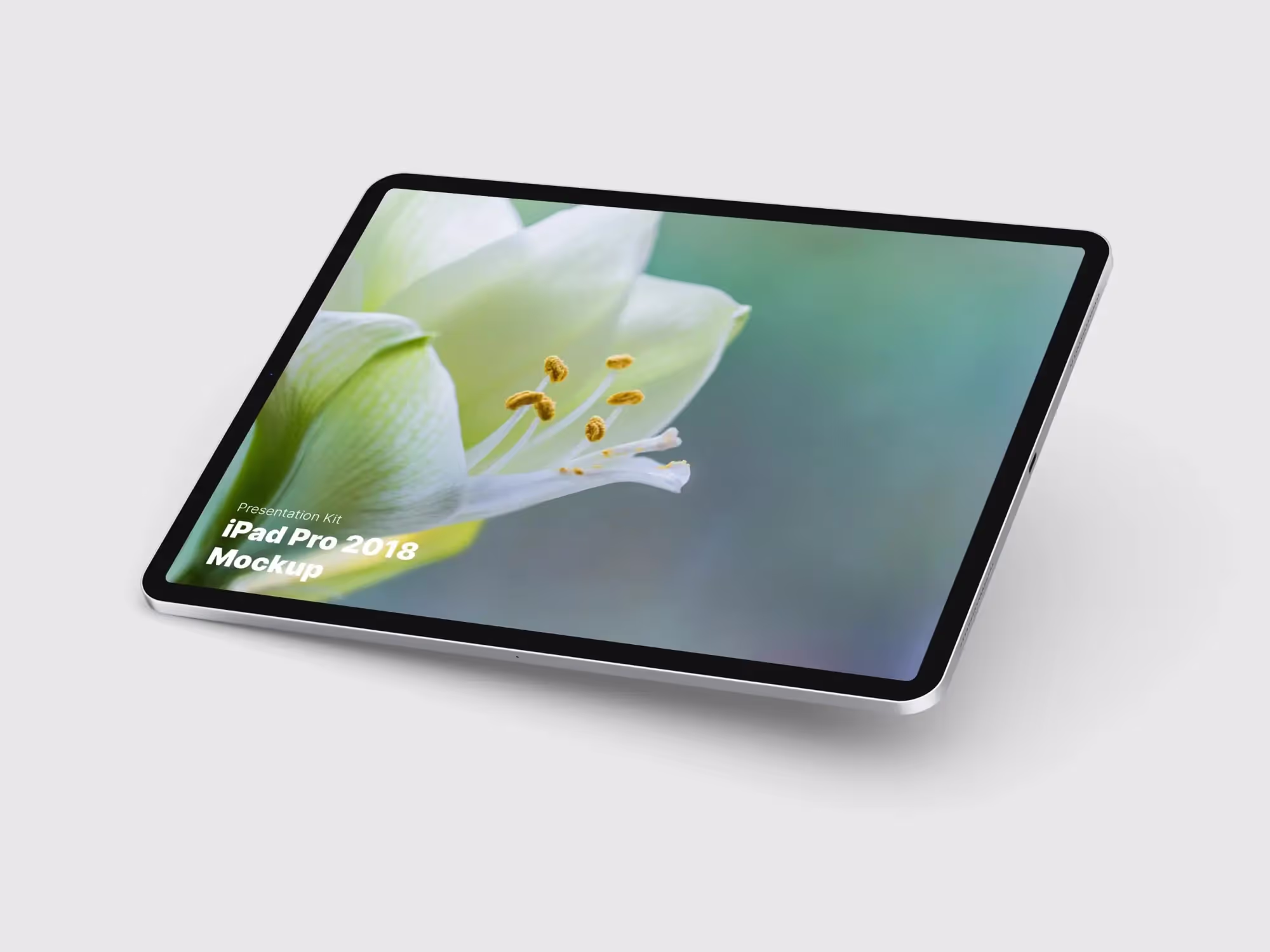 iPad Pro Mockups (2018) | Available on ls.graphics
