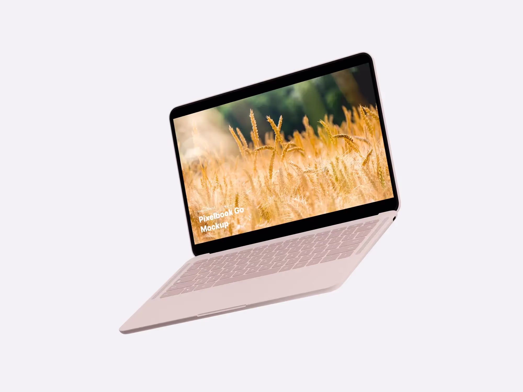 Google PixelBook Go Mockups | Download at ls.graphics