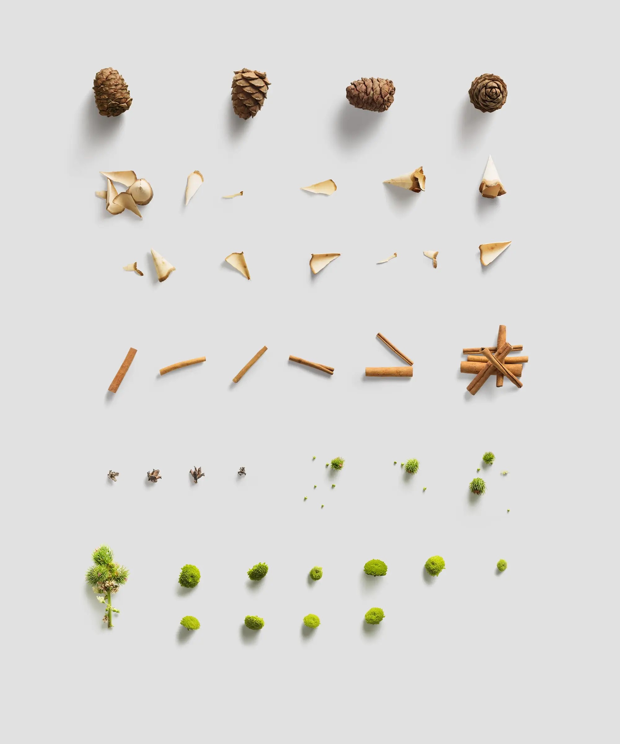 Environment  Items | Full Resolution File