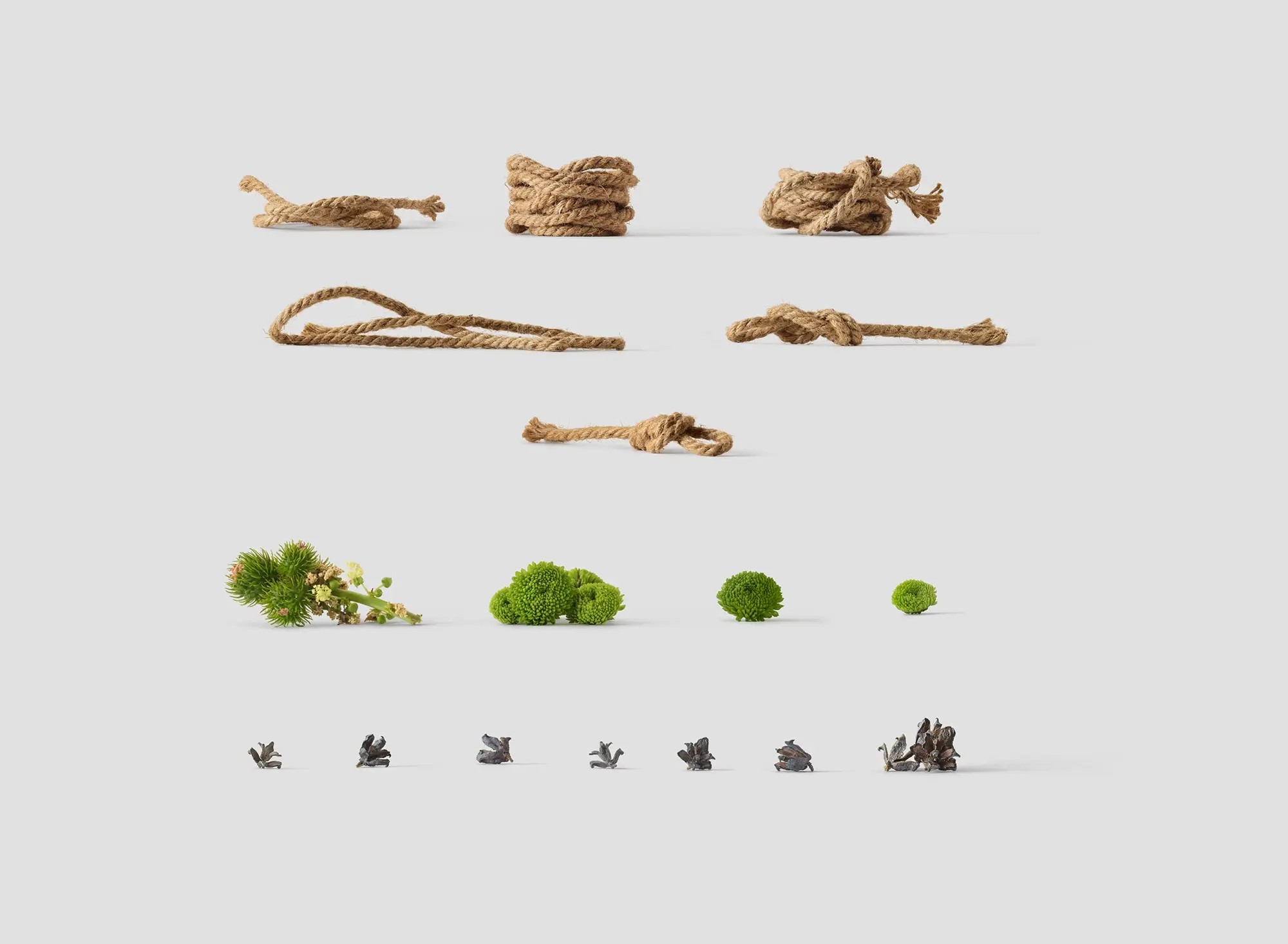 Environment  Items | Best Commercial Version