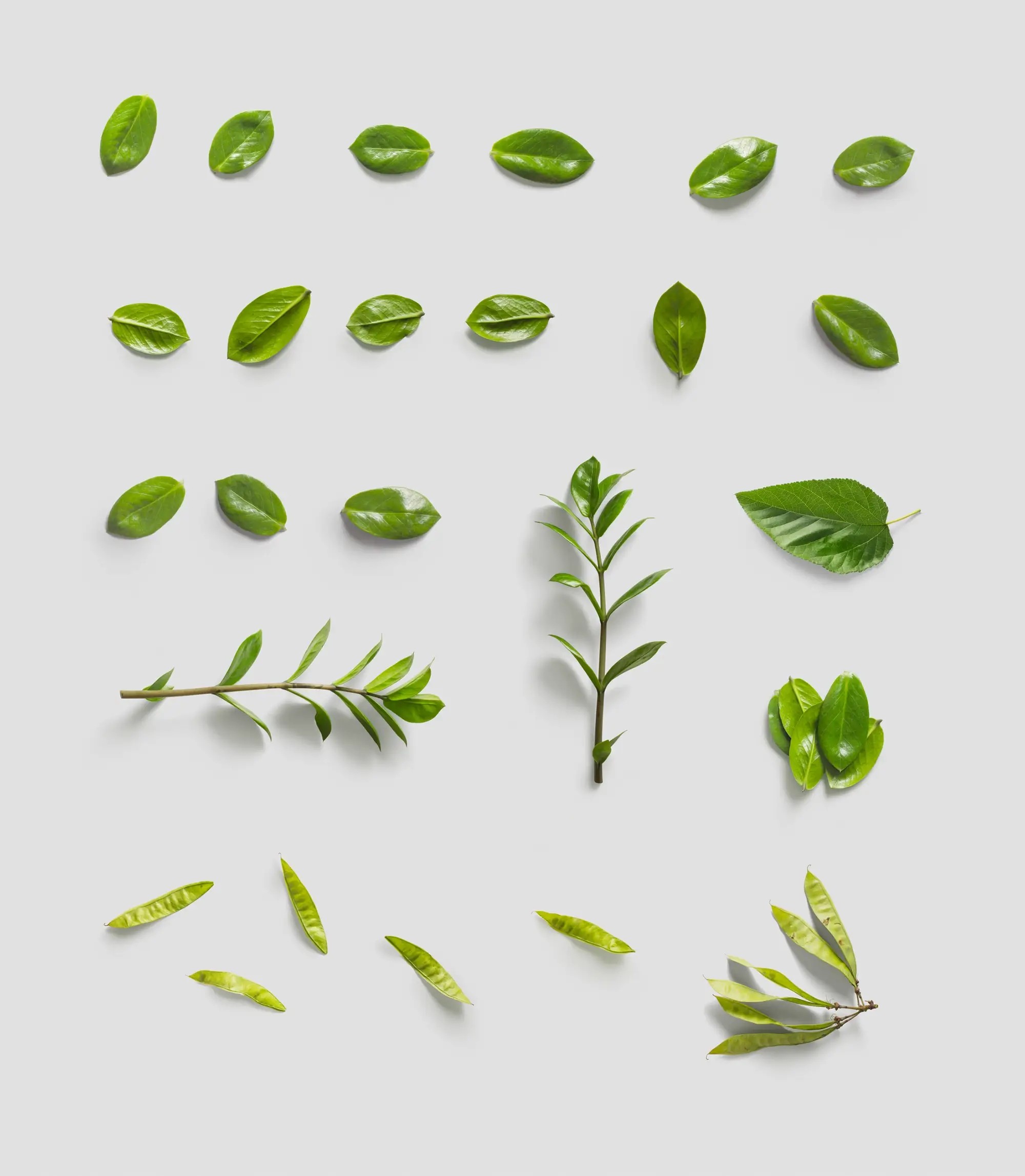 Environment  Items | Full Resolution File