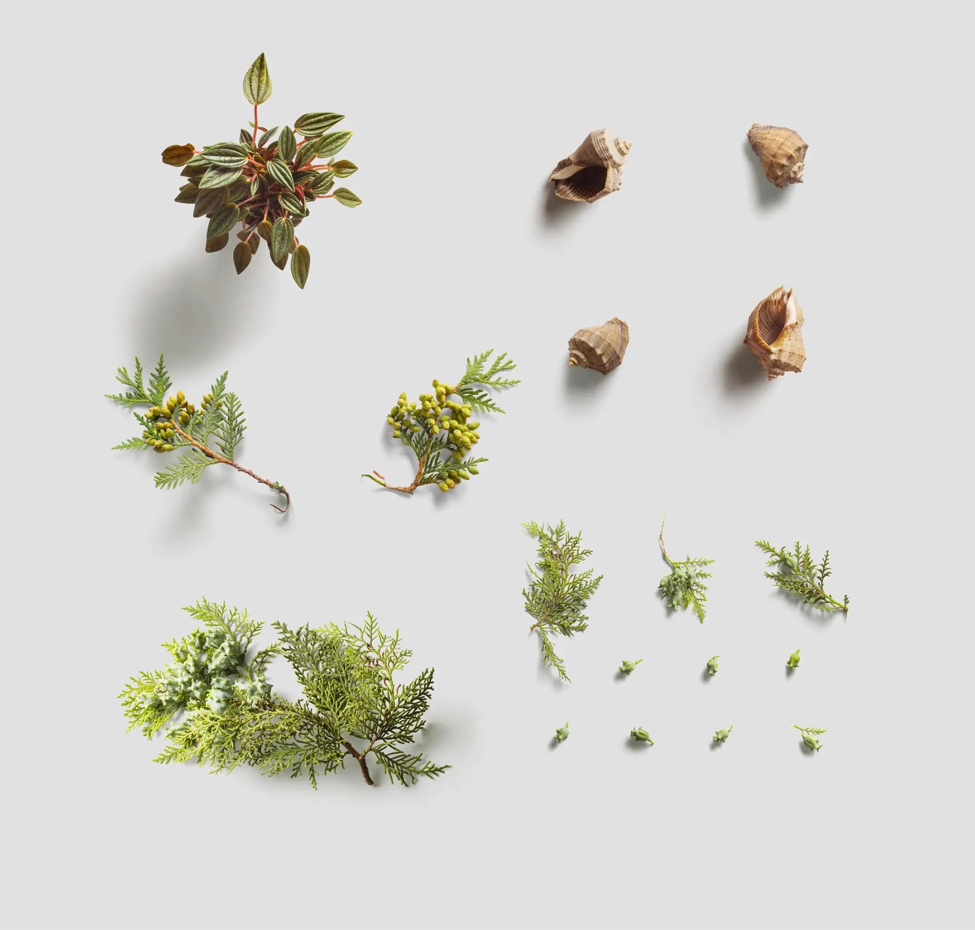 Environment  Items | Available on ls.graphics