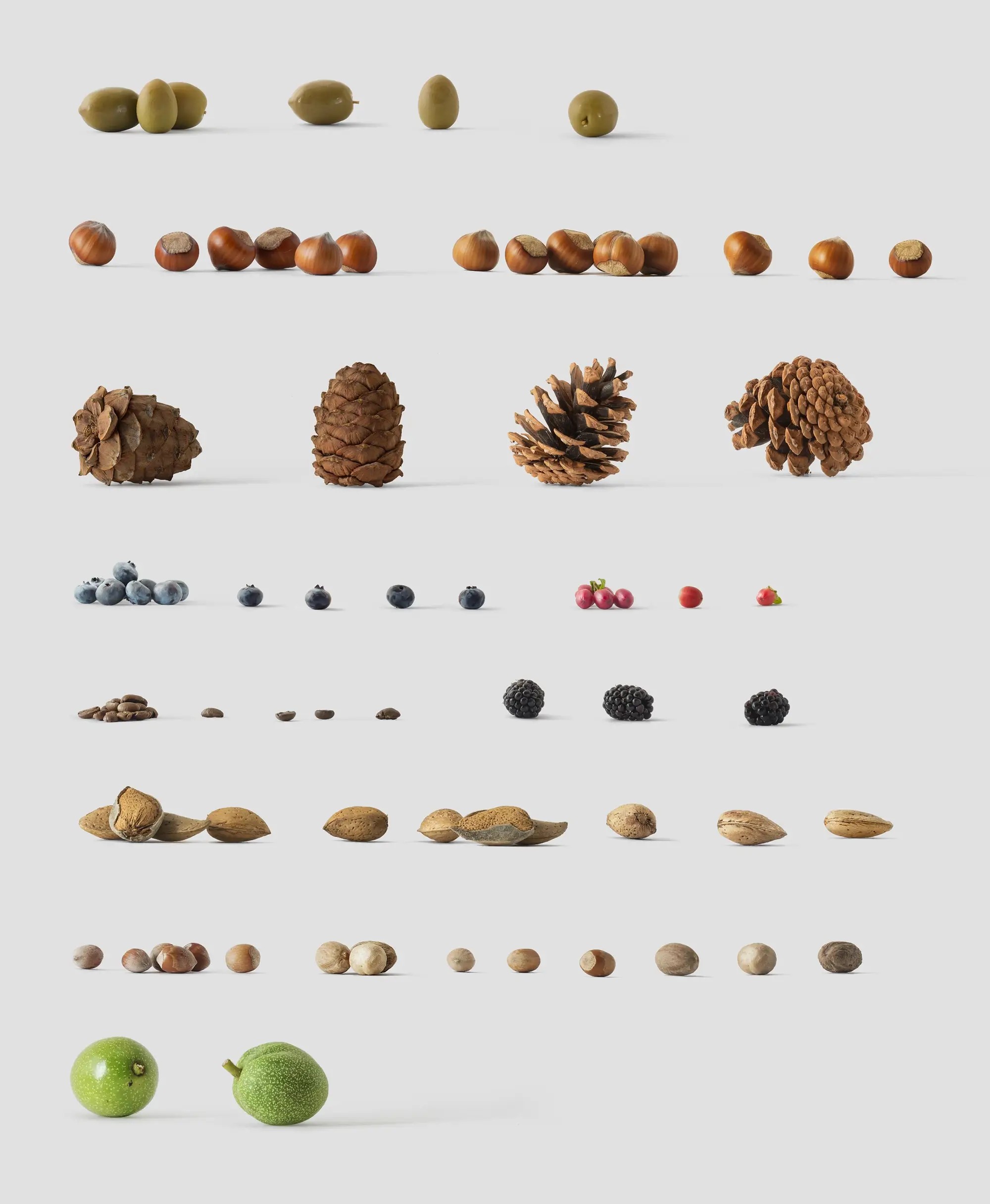 Environment  Items | Top Selling Mockup