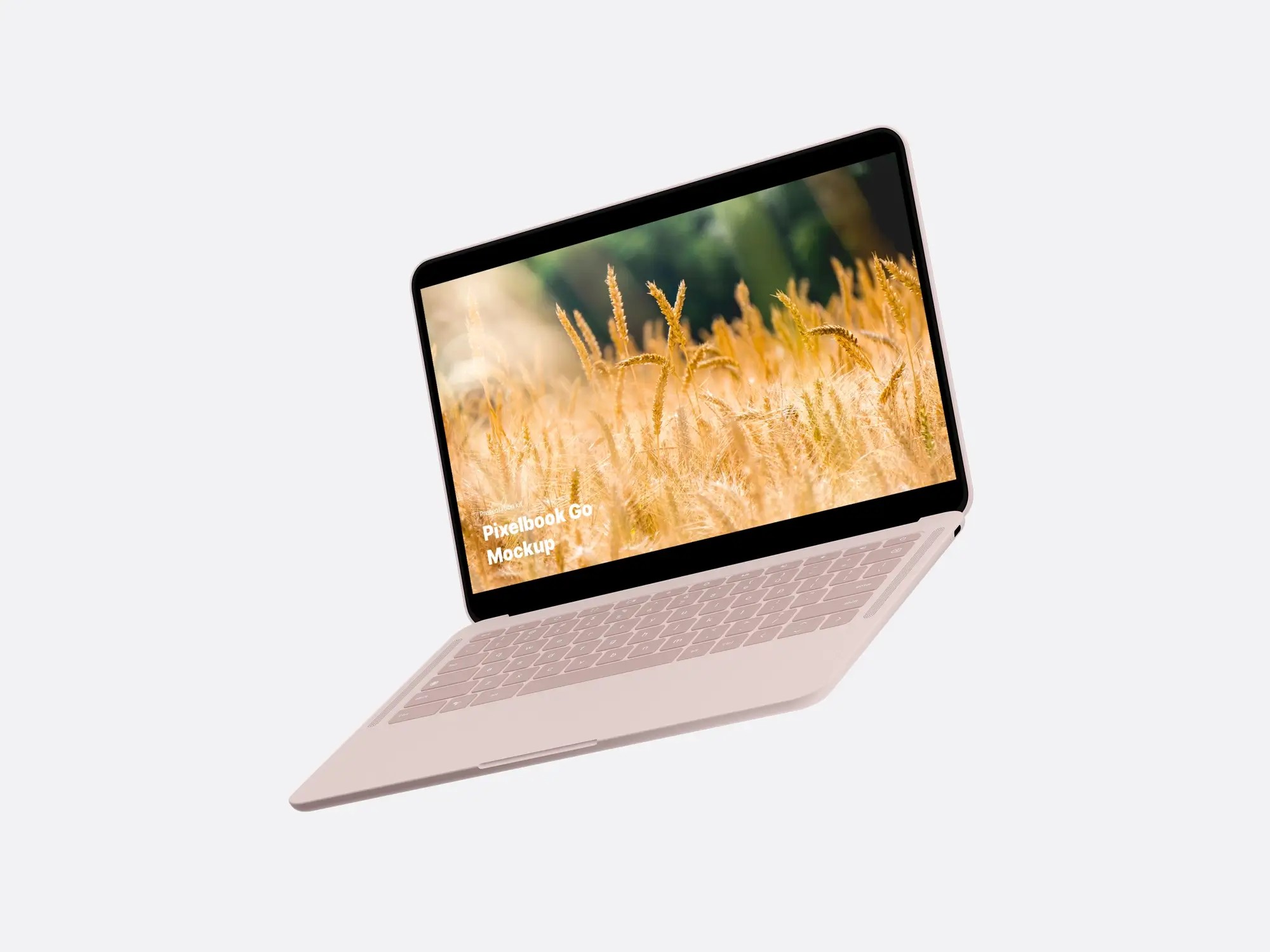 Google PixelBook Go Mockups | Download at ls.graphics